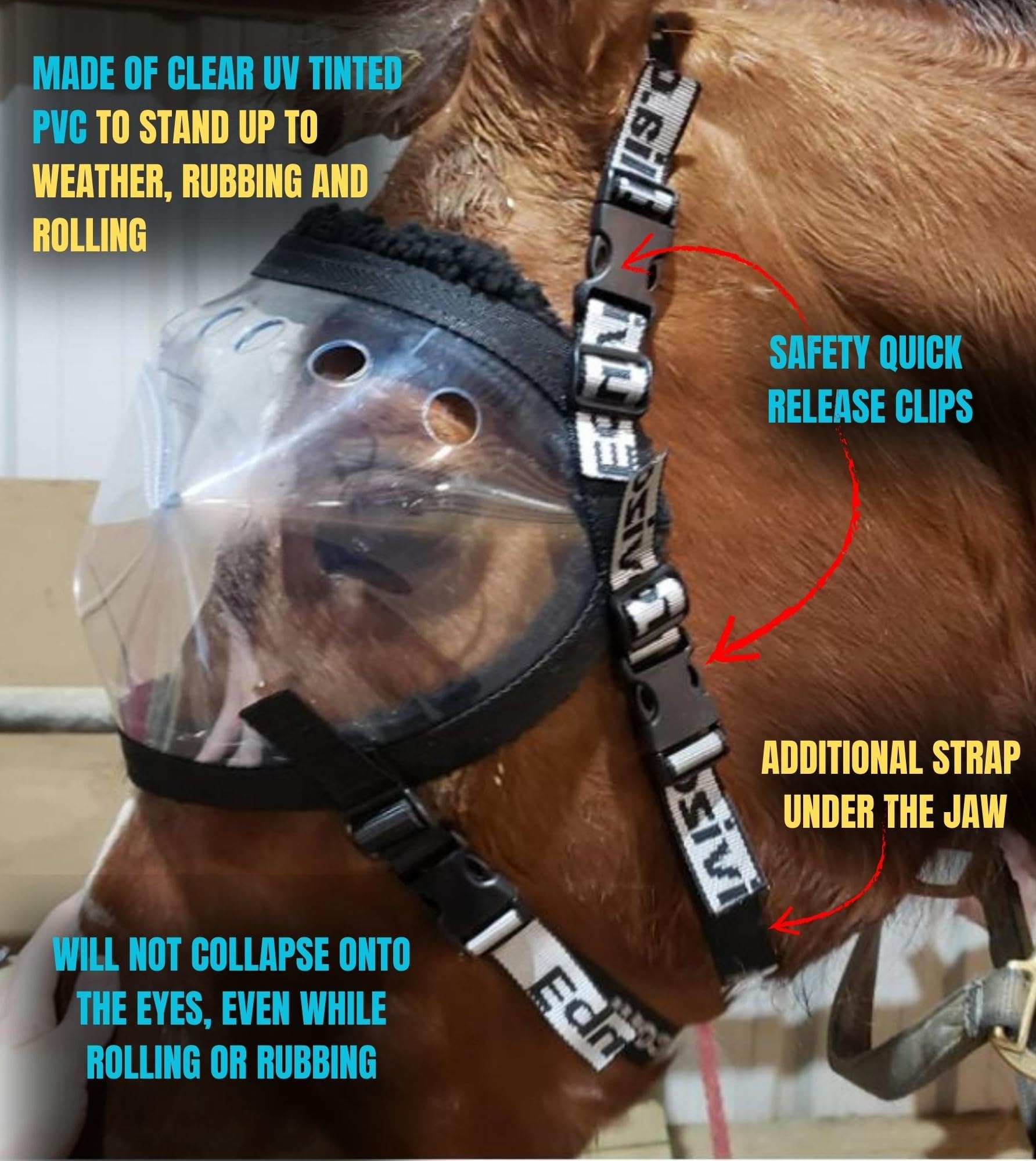EquiVizor Recovery Vizor - Full Size Clear UV Tint Horse Eye Protection Mask for Uveitis, Injury & Corneal Infection