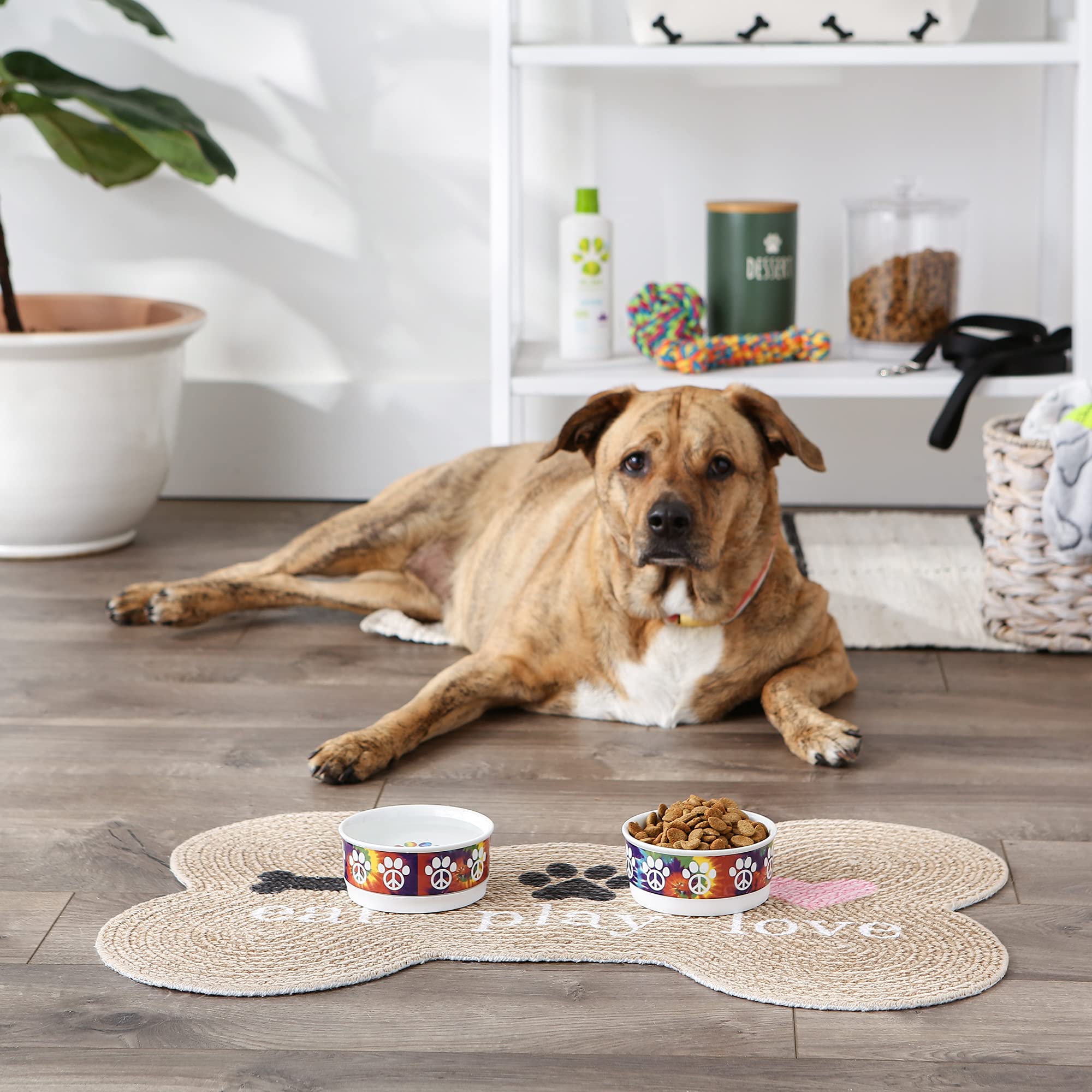 DII Pet Bowl Peace Paw, Small 4.25Dx2H (Set of 2)