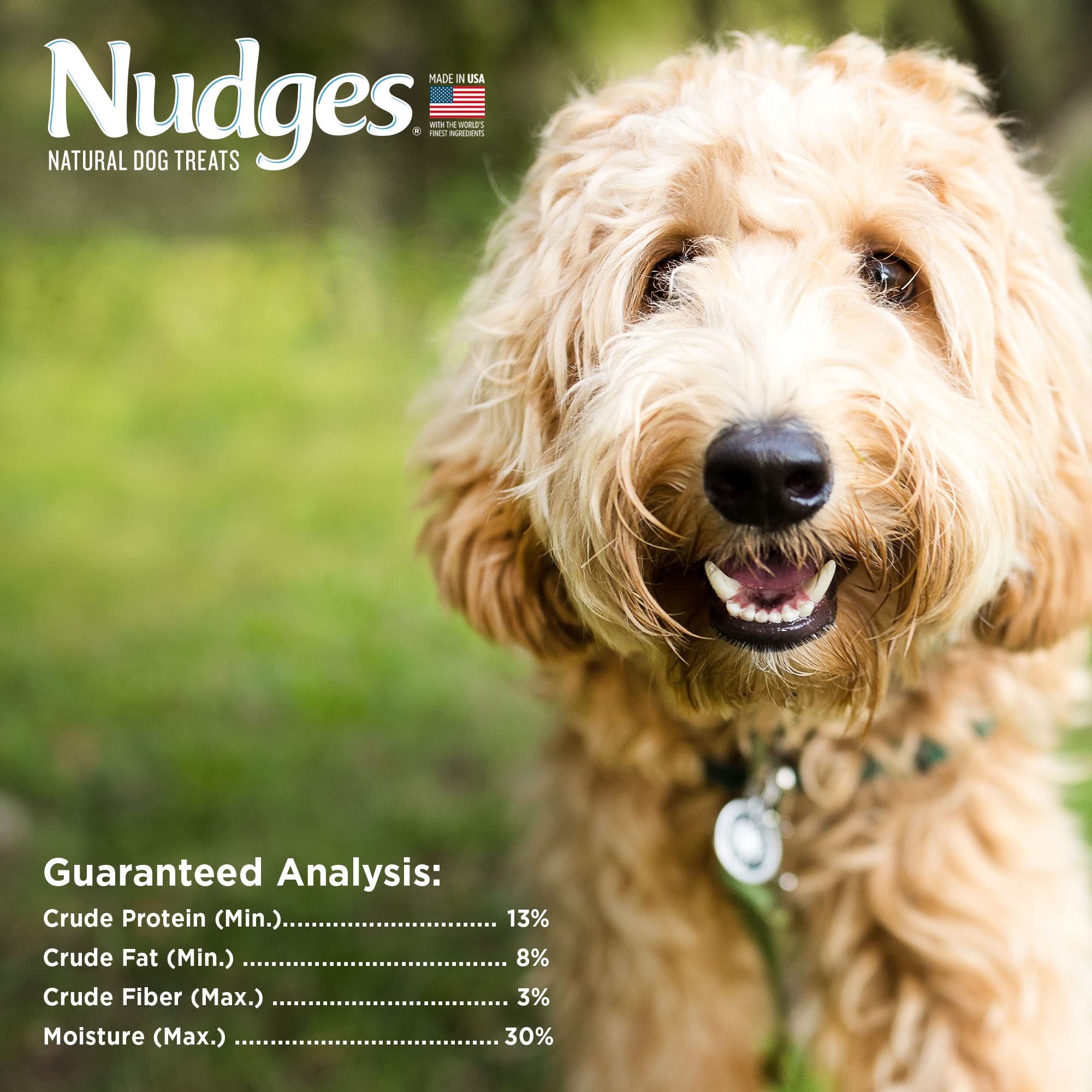 Blue Buffalo Nudges Homestyle Natural Dog Treats, Beef and Rice, 16oz Bag