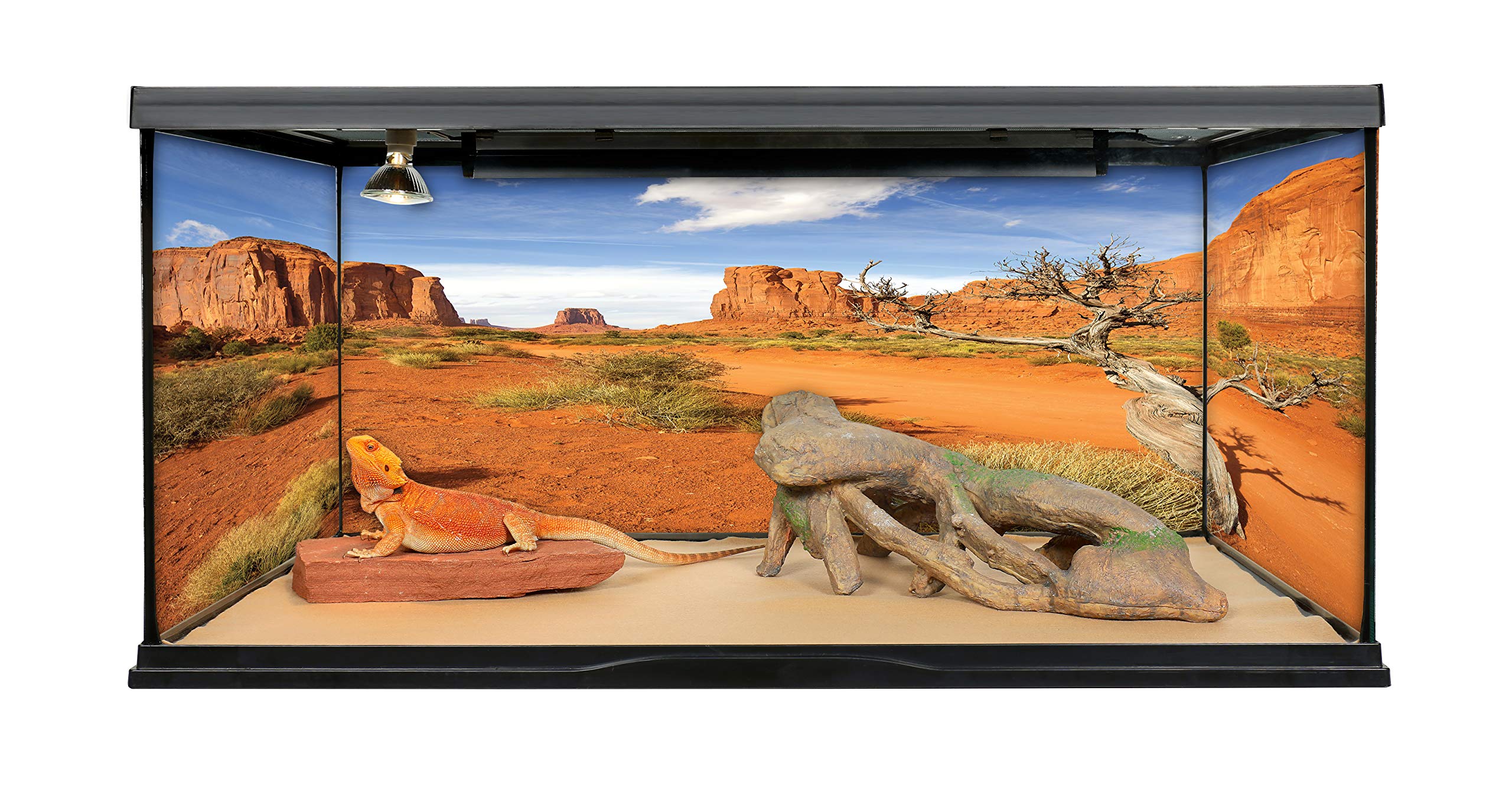 Reptile Habitat Background; Monument Valley with Tree, for Zoo Med 40 gal. 36Lx18Wx18H Terrarium, 3-Sided Wraparound