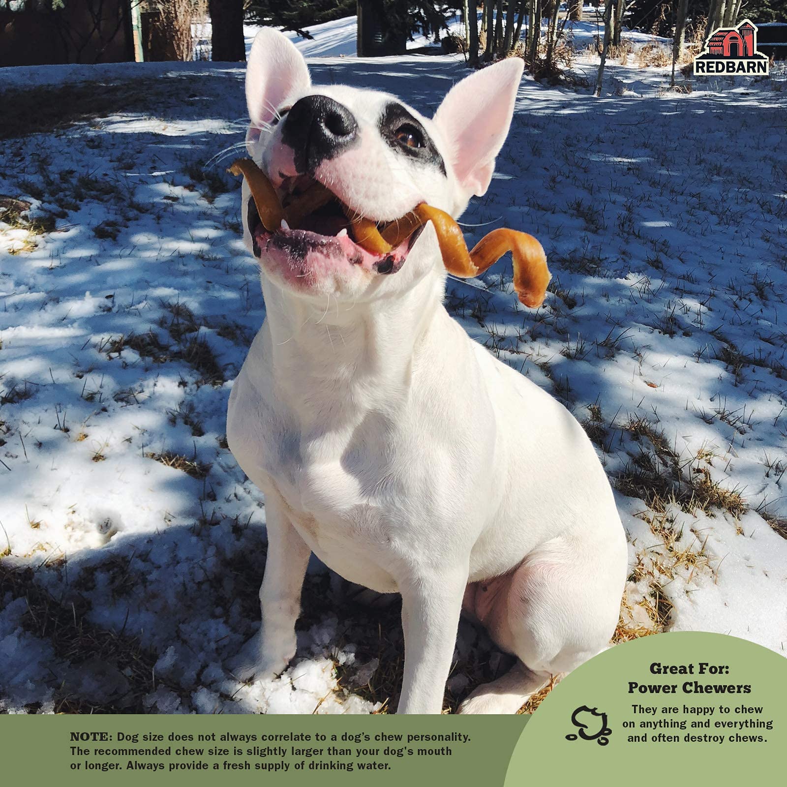 Redbarn All-Natural 4-6 Bully Springs Sticks for Dogs - Premium Grain-Free Single Ingredient Boredom Busting Dental Chew Rawhide