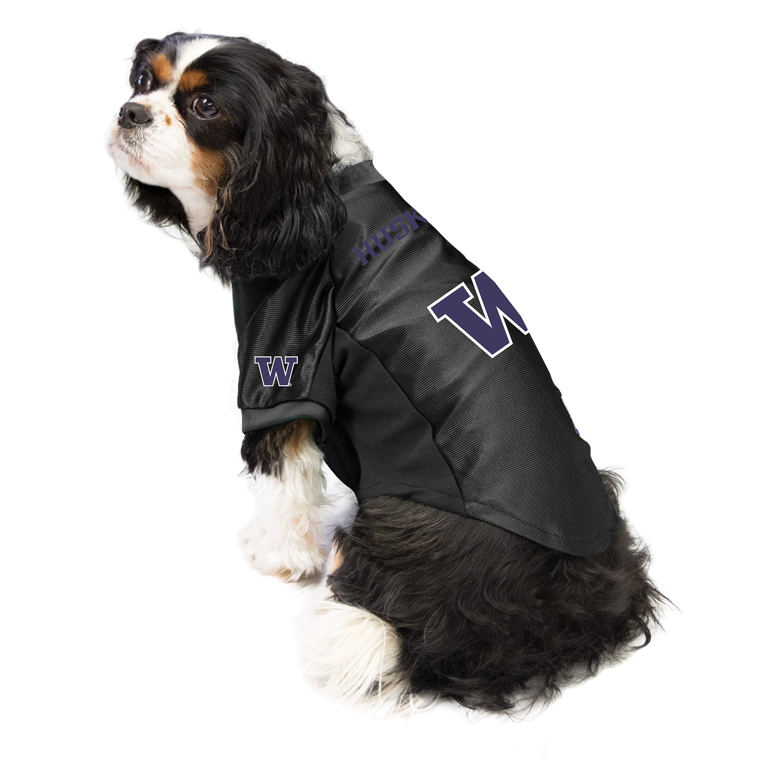 Washington Huskies Pet Jersey Stretch Size Xl - Special Order
