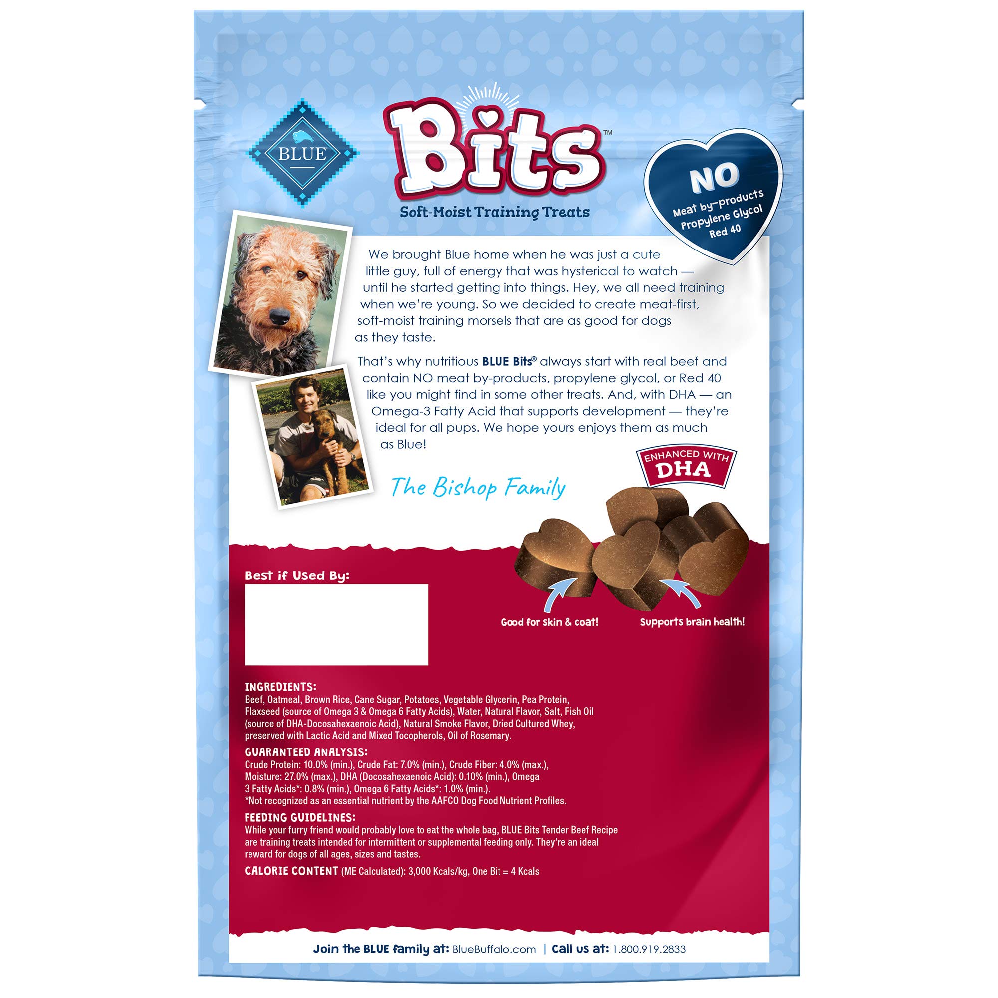 Blue Buffalo BLUE Bits Natural Soft-Moist Training Dog Treats Beef Recipe 9-oz bag