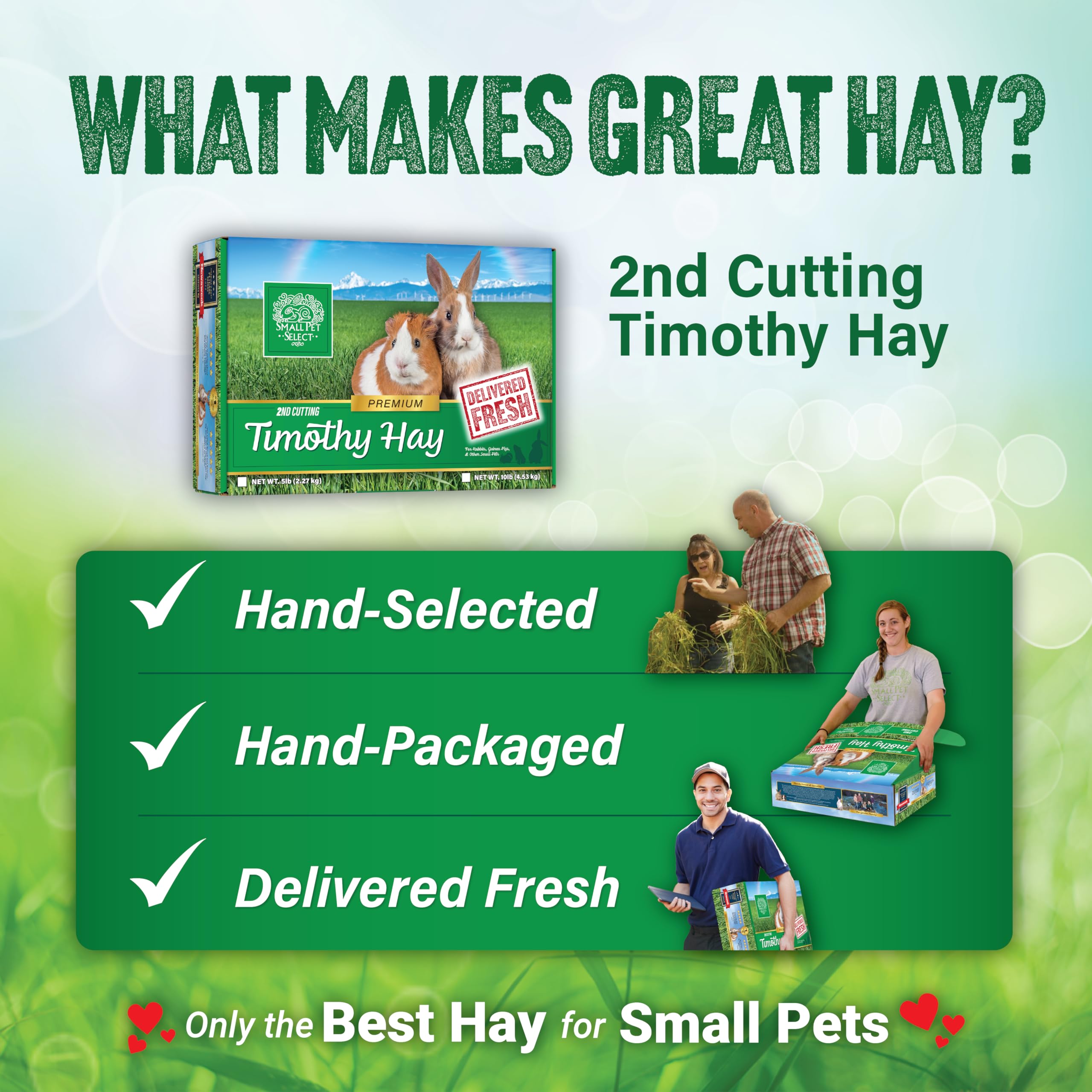 Small Pet Select 2nd Cutting Perfect Blend Timothy Hay Pet Food for Rabbits, Guinea Pigs, Chinchillas and Other Small Animals, P