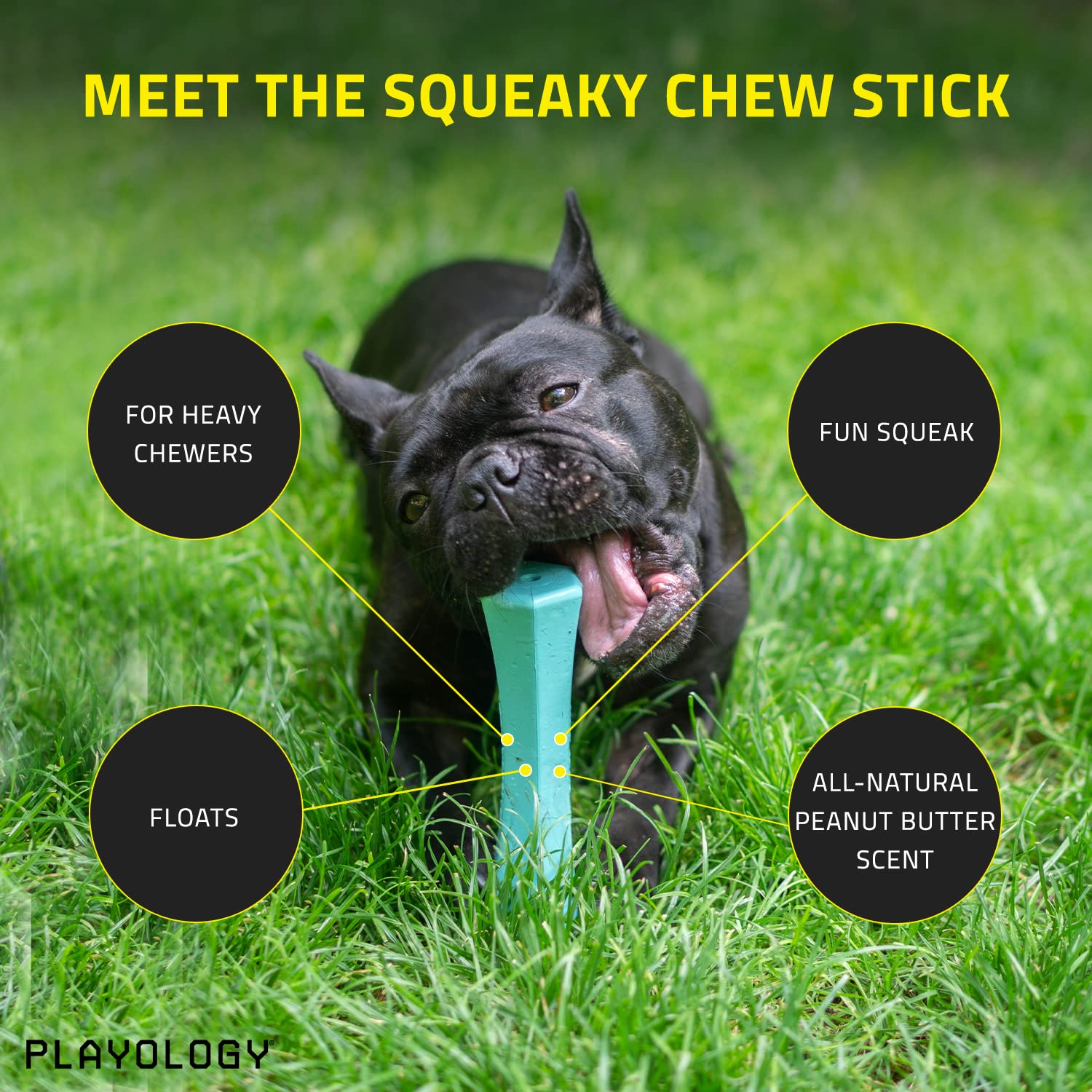 Playology Squeaky Chew Stick Dog Toy for Large Dogs - Peanut Butter Scented, Non-Toxic Rubber, Ideal for Moderate Chewers