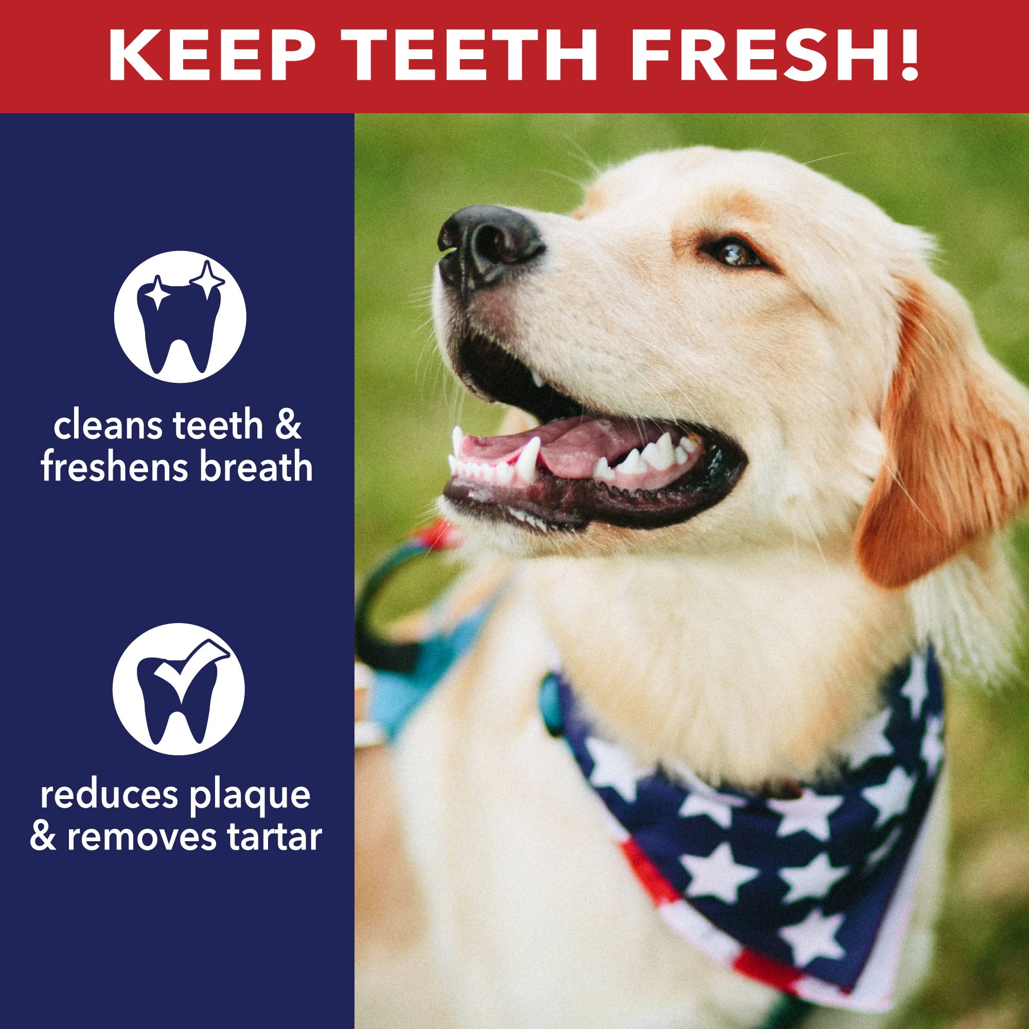 Pet Factory 100% Made in USA Beefhide 8 Rolls Dog Chew Treats - Peanut Butter Flavor, 15 Count/1 Pack