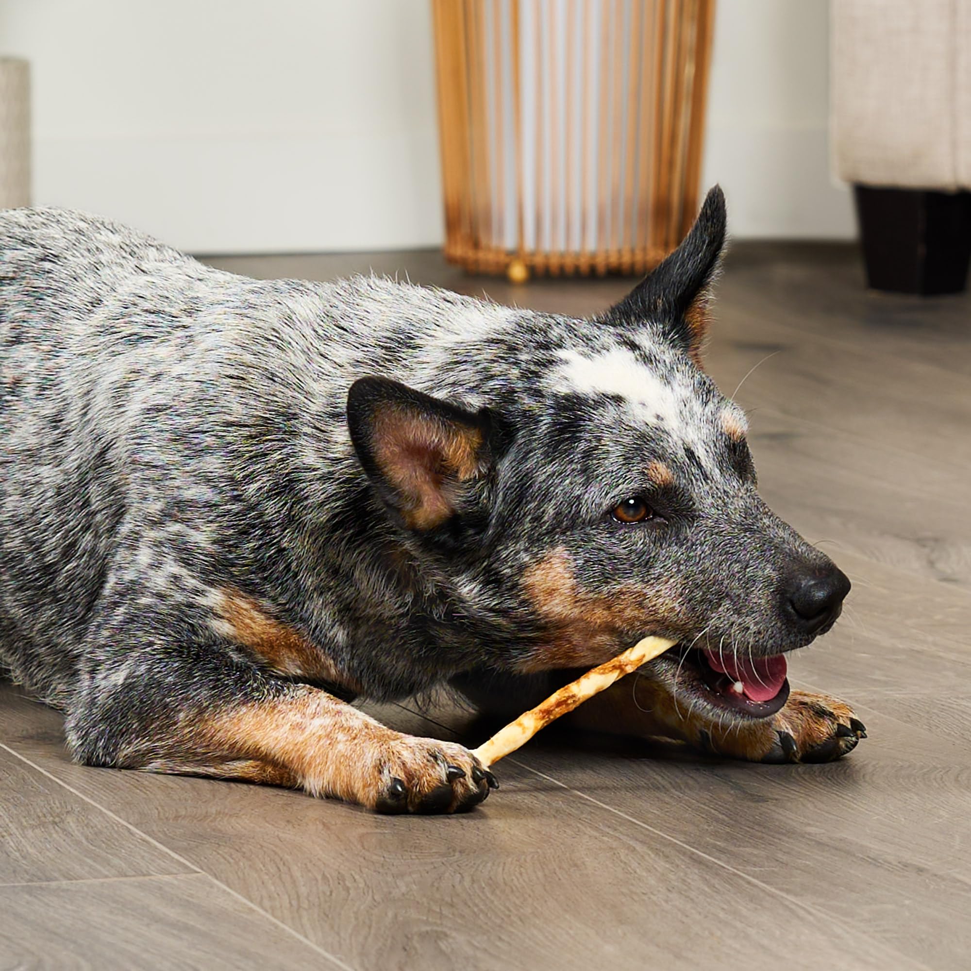Treatly Combo Chews Beefhide Twist Sticks 5 w/Pork Meat Wrap Dog Chew Treats - 20 Count/1 Pack