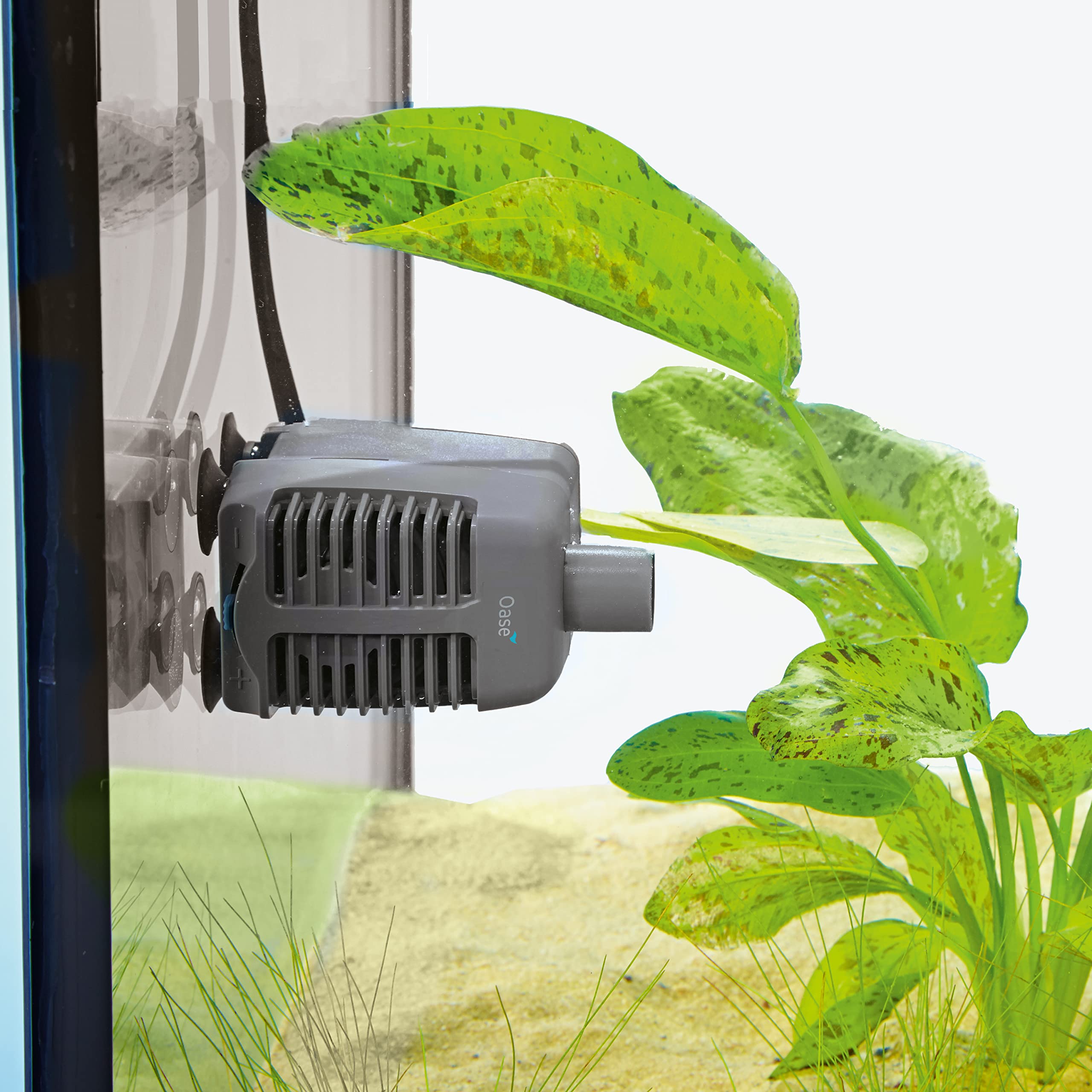 OASE Indoor Aquatics OptiMax 250