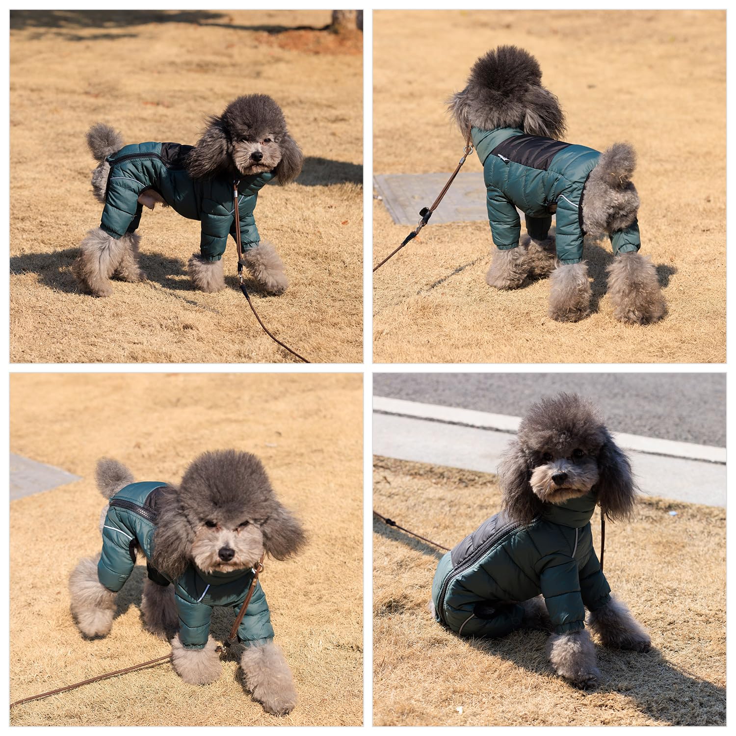 Armygreen Dog Coat - Reflective Warm Vest For Small, Medium, Large Dogs, Waterproof, Windproof, Zippered, Adjustable Xxl