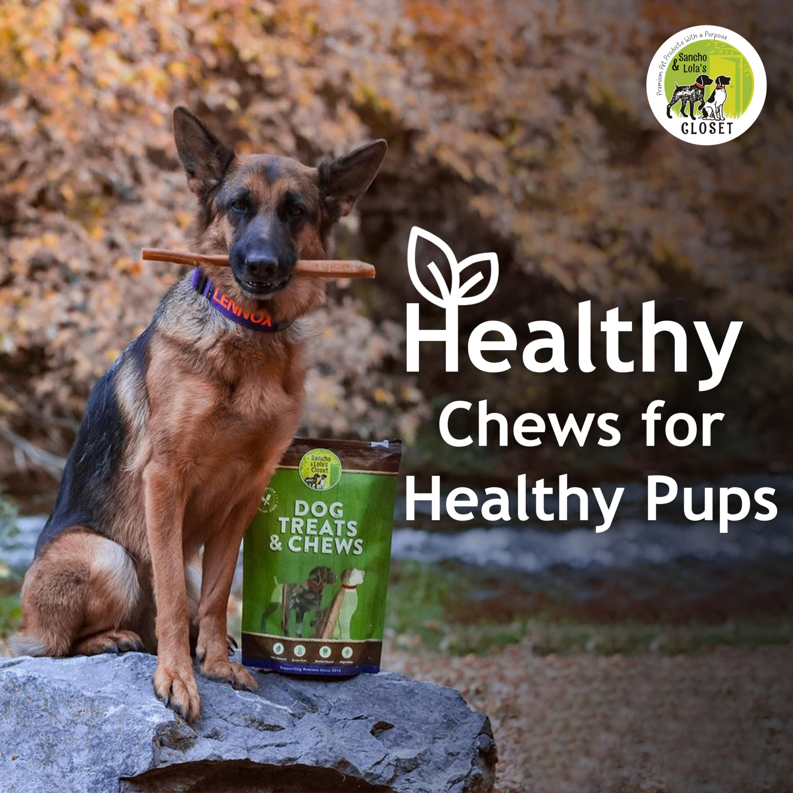 Supreme 6-inch Standard Bully Sticks by Sancho and Lolas (25 Pack) All-Natural, Long-Lasting Dog Chew Treats - Free-Range, Grass