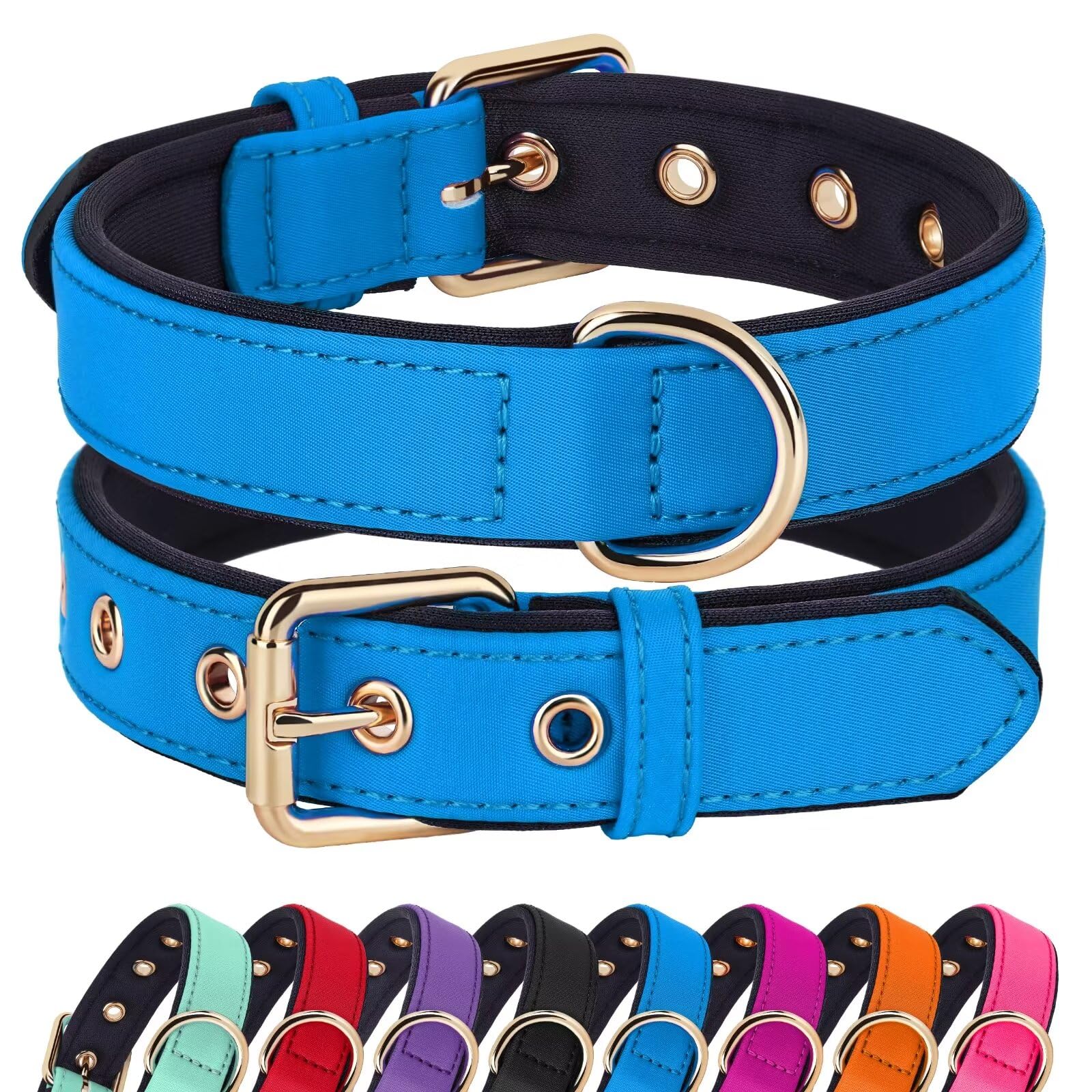 Didog Soft Padded Dog Collars For Medium Dogs, Lightweight And Breathable Dog Collar Waterproof With Metal Buckle, Blue, M