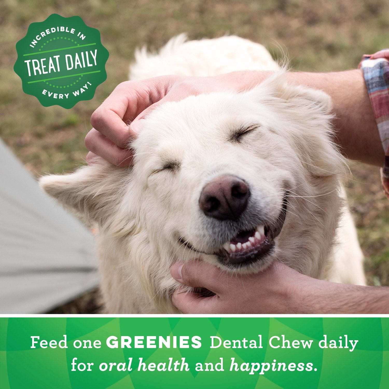 GREENIES TEENIE Natural Dog Dental Care Chews Oral Health Dog Treats 3-Flavor Variety Pack, (3) 12 oz. Pouches, 129 Total Treats