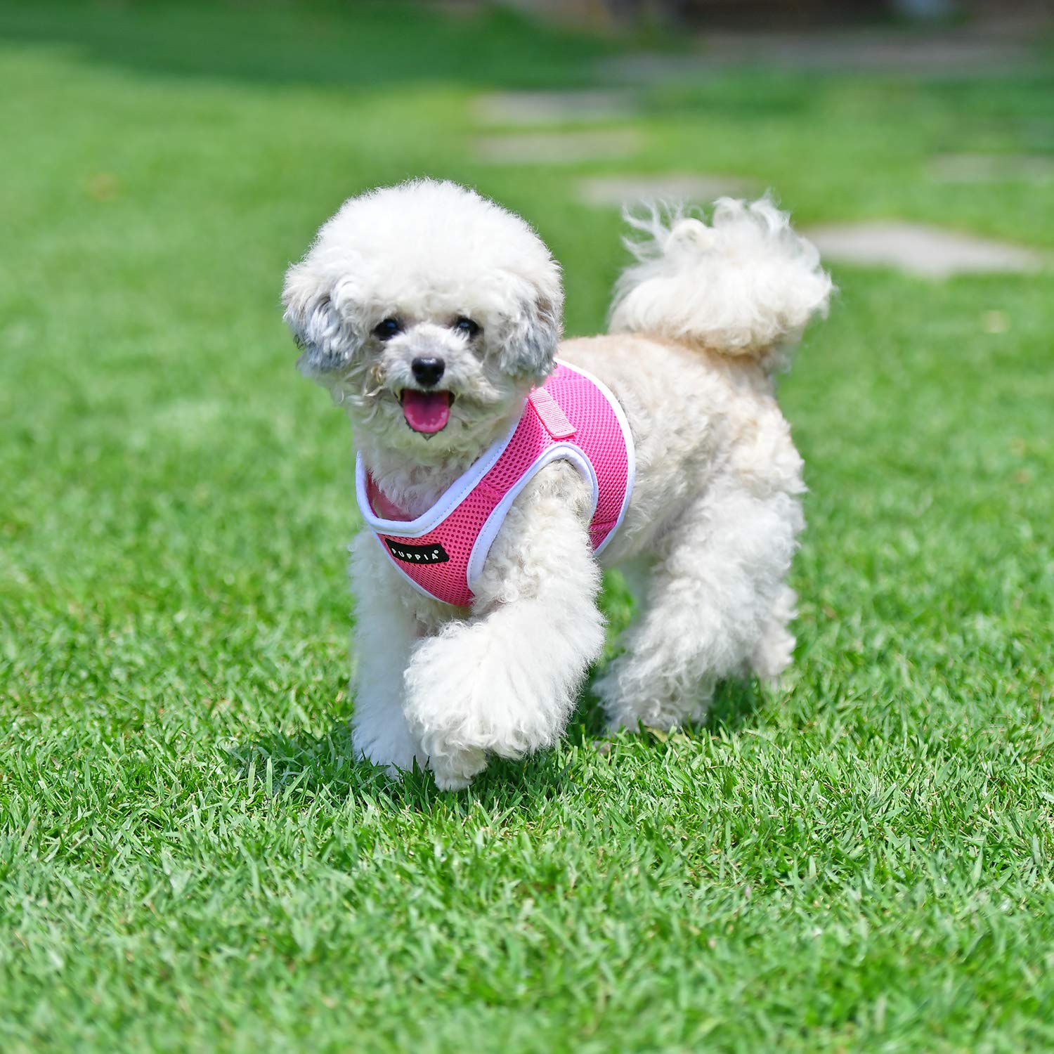 Puppia Soft Vest Harness B Ii - Pink - M