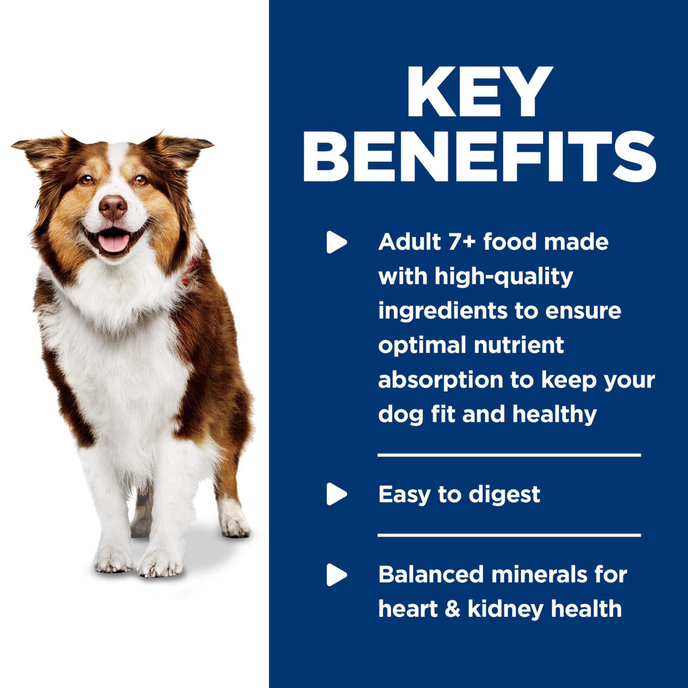 Hills Science Diet Adult 7+, Senior Adult 7+ Premium Nutrition, Wet Dog Food, Turkey & Barley Loaf, 13 oz Can, Case of 12