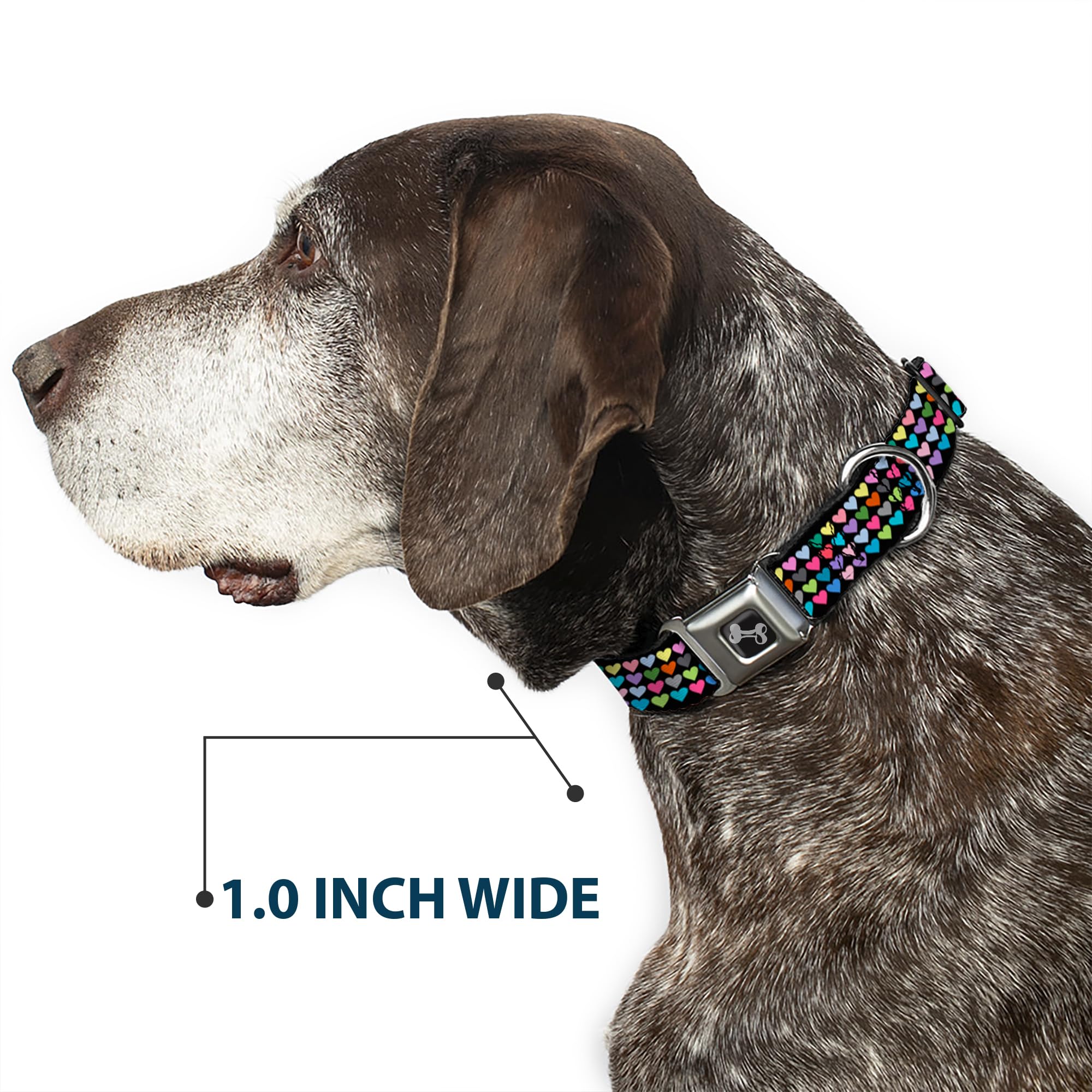Buckle-Down 15-26 Mini Hearts Black/Multi Color Dog Collar Bone, Large