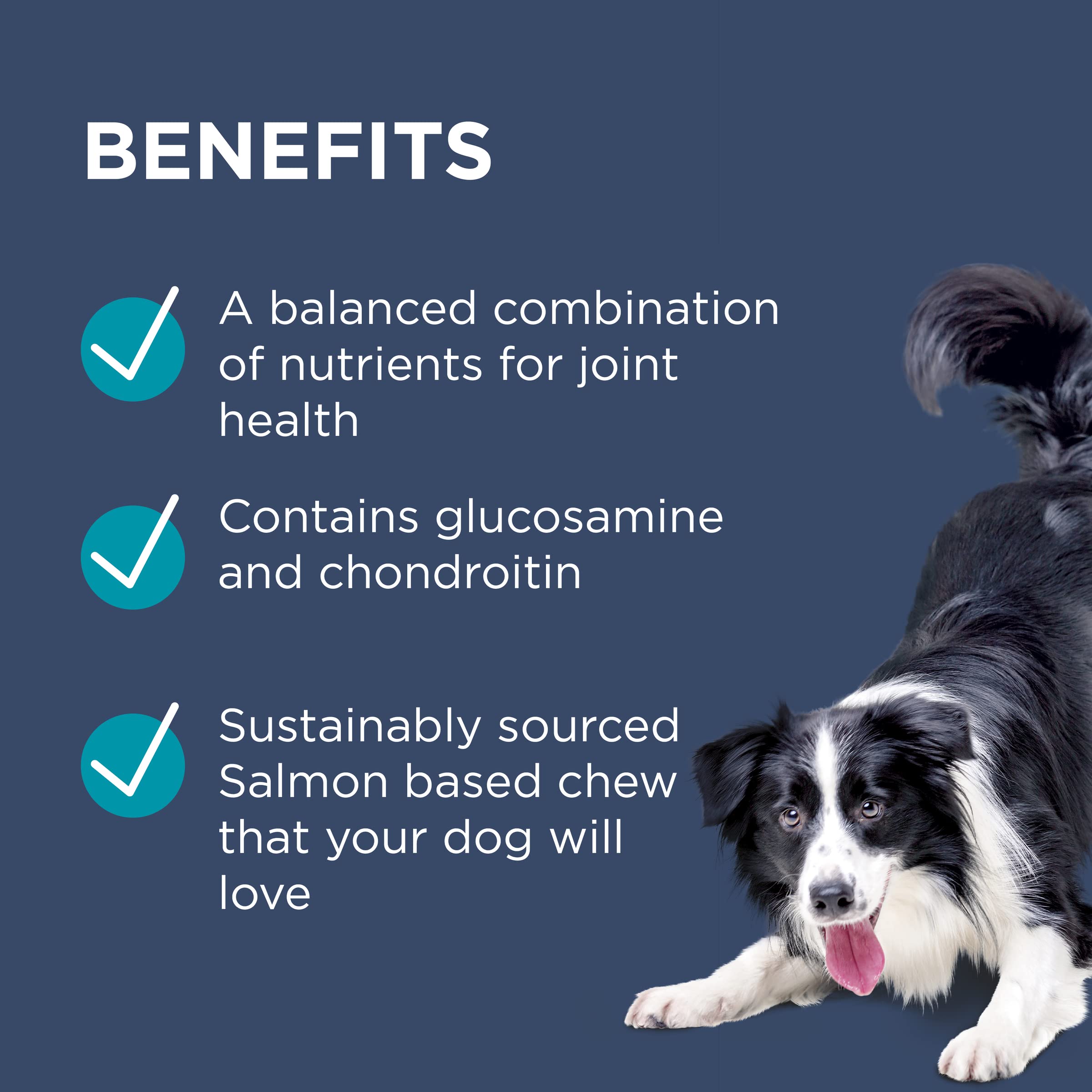 Blackmores PAW Osteocare Joint Health Chews - 500g for Dogs, Model WPOC500