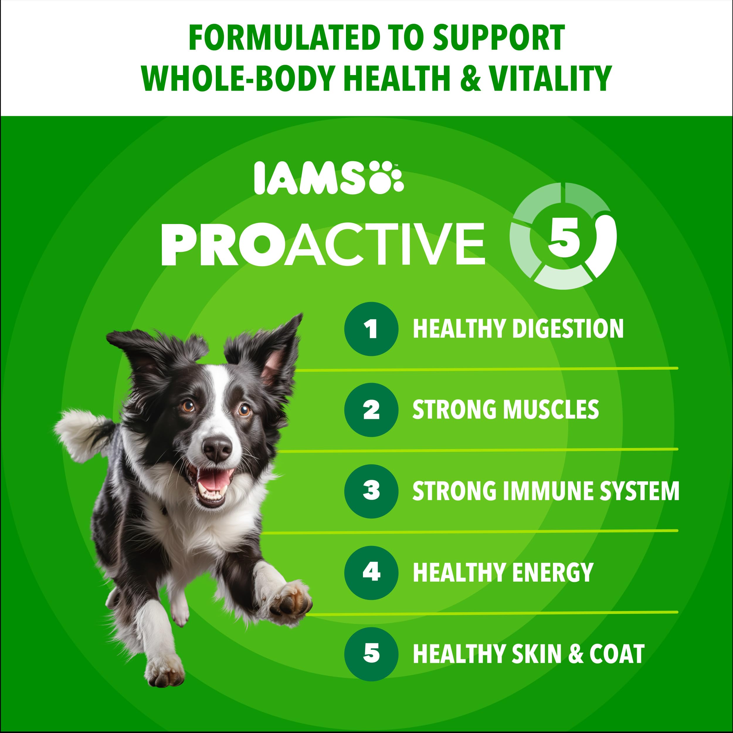 IAMS Proactive Health Adult Minichunks Dry Dog Food Chicken & Whole Grain Recipe, 15 lb. Bag