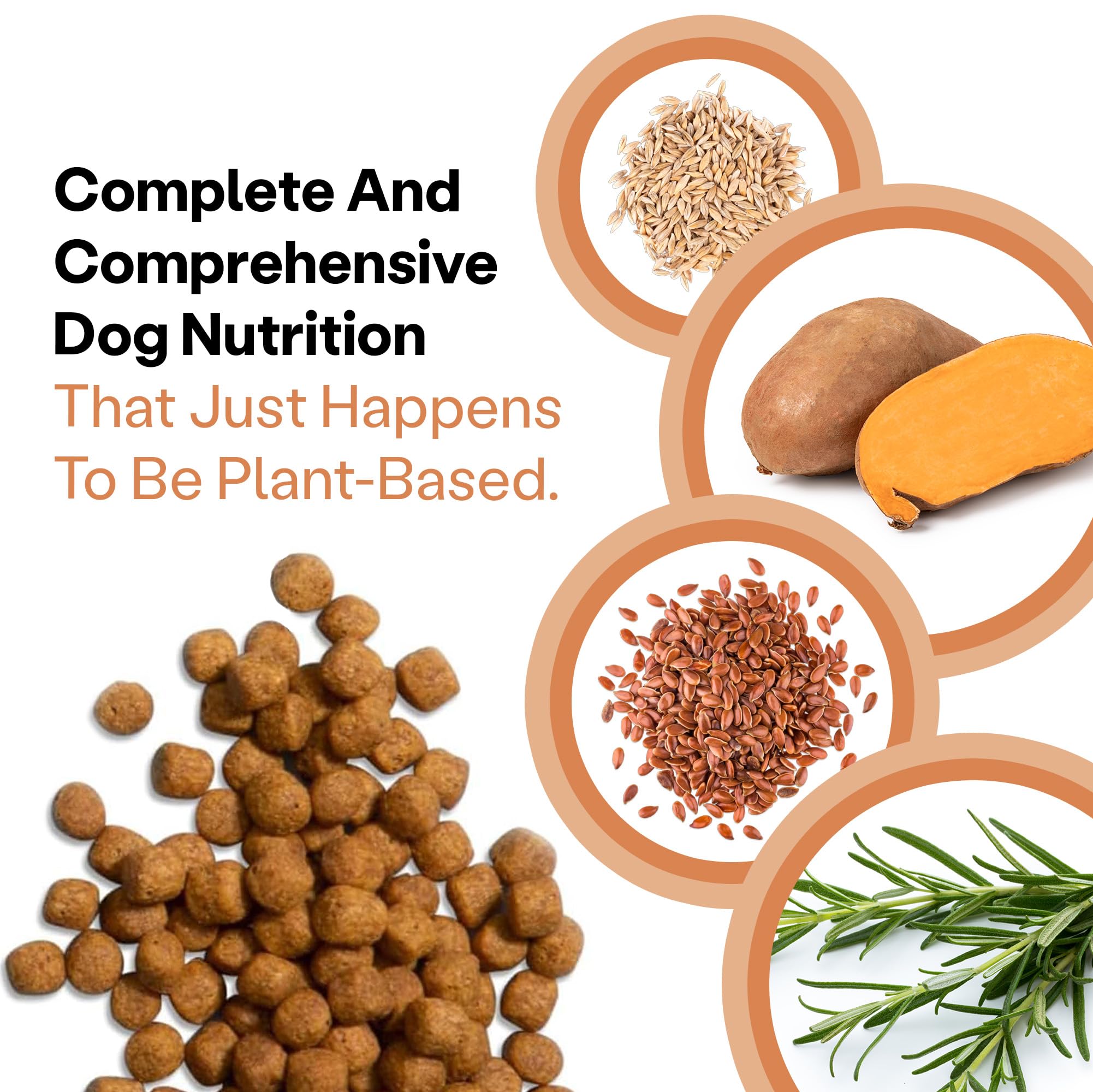 Wild Earth Vegan Dry Dog Food | Plant-Based Maintenance Formula | Vegetarian, Allergy Relief, Veterinarian-Developed for Complet