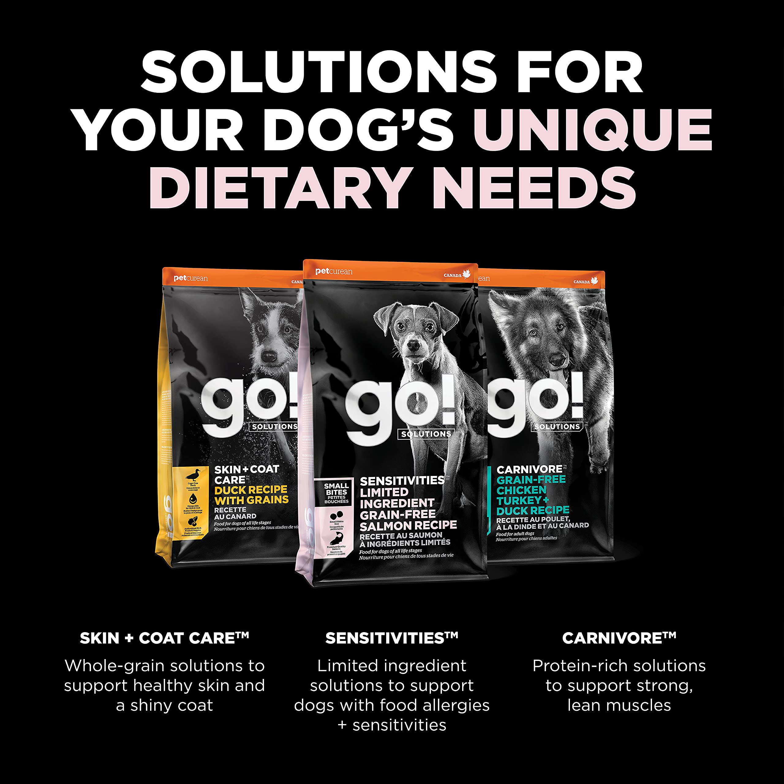 Go! Solutions Sensitivities Limited Ingredient Small Bites Salmon Dry Dog Food, 6 lb Bag - Grain-Free, Chicken-Free for Sensitive Stomachs