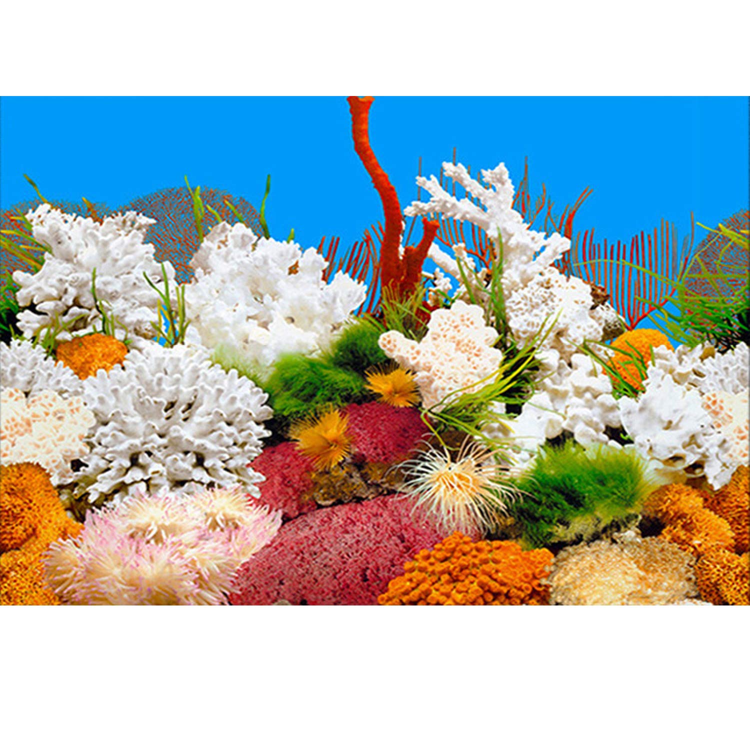 Elebox New 15.7'' X 40'' Fish Tank Background 2 Sided River Bed & Lake Background Aquarium