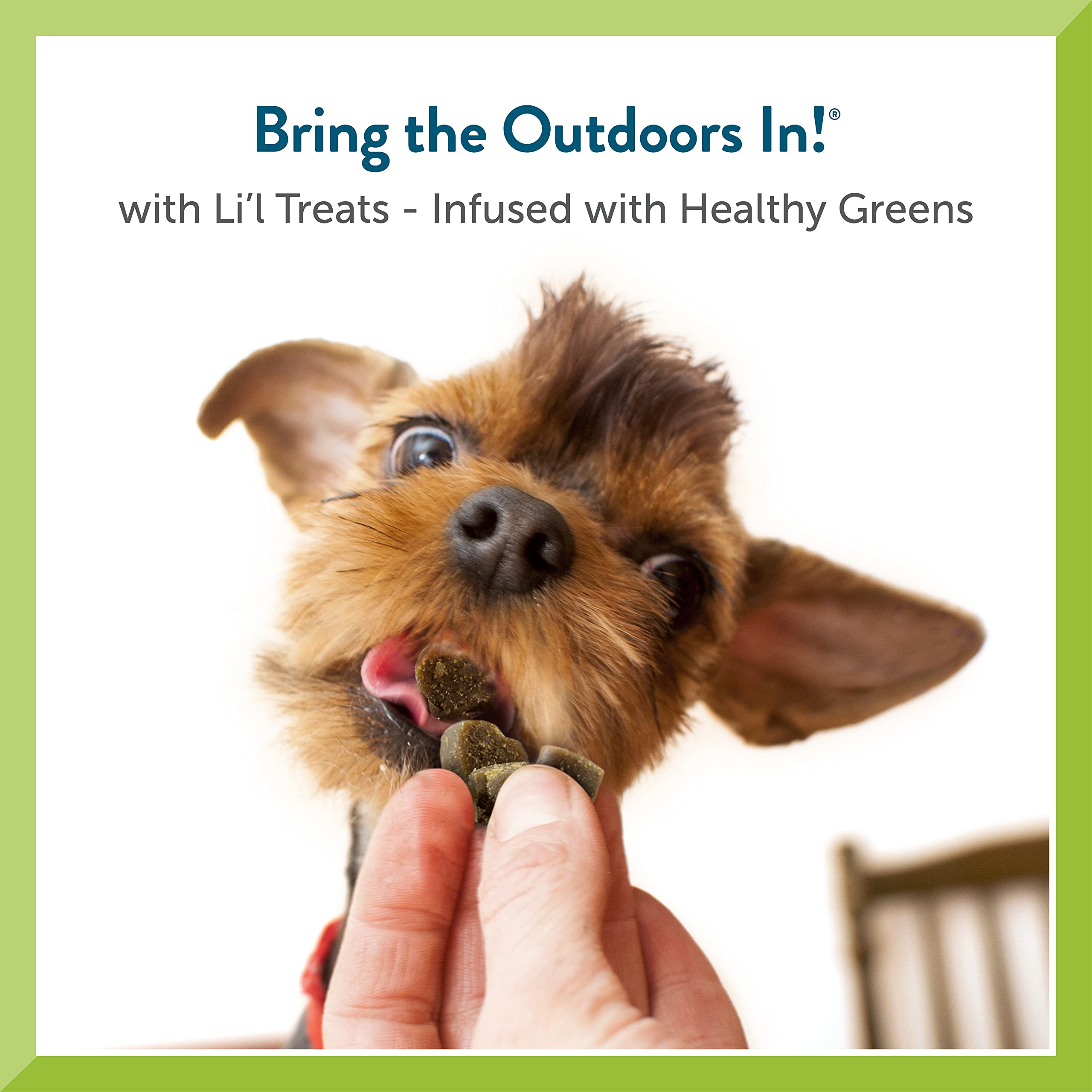 Pet Greens Treats Healthy Salmon Semi-Moist Dog Treat