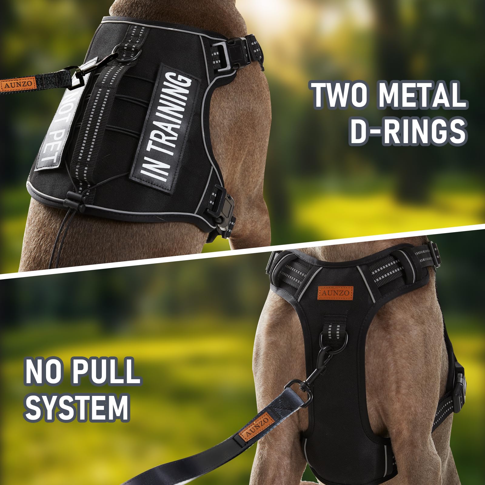 Extra Small Dog Harness, No-Pull Pet Harness With 2 Leash Clips, Adjustable Soft Padded Dog Vest, Reflective No-Choke Pet Oxford