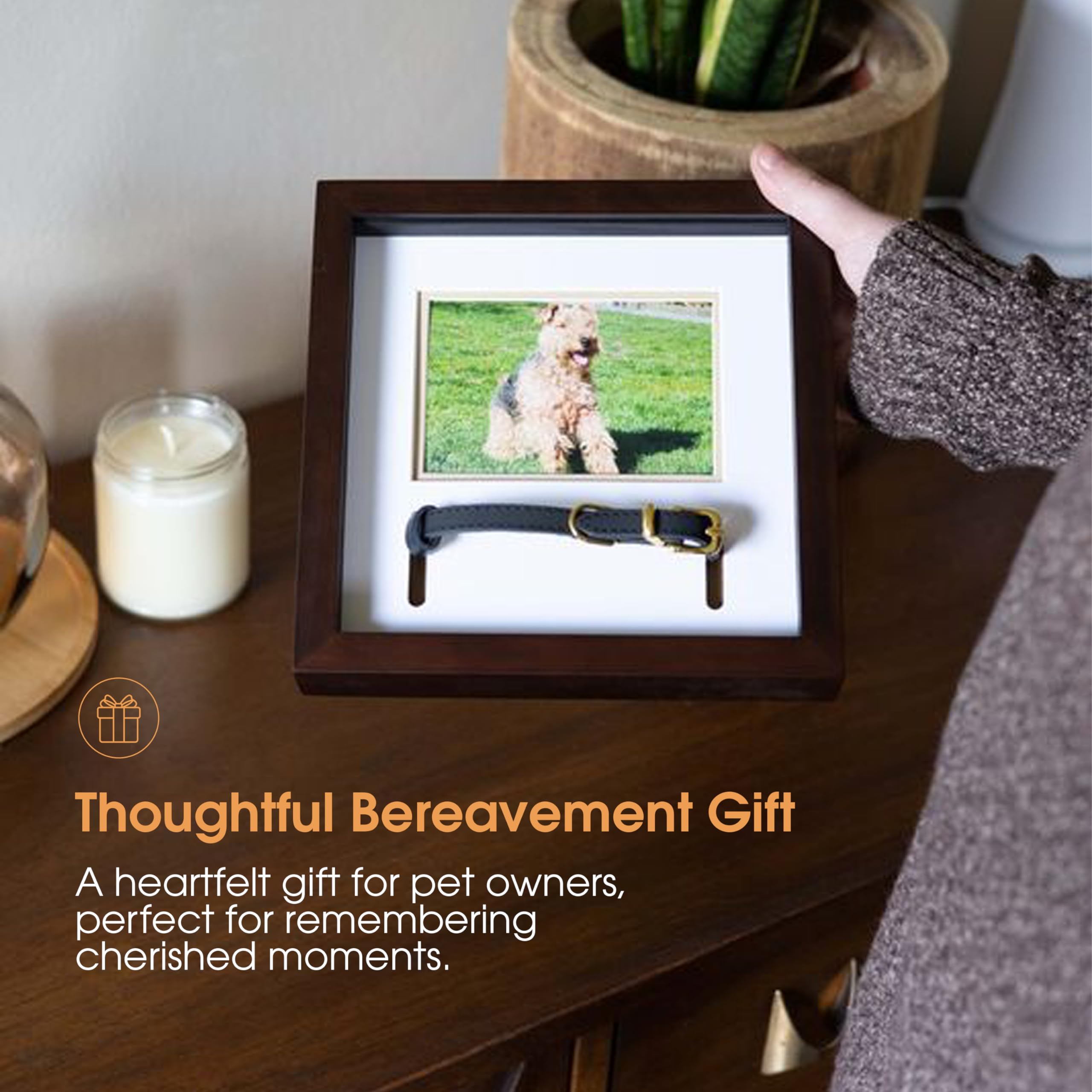 Pearhead Pet Collar Keepsake Frame - Dual Display Memorial Keepsake For Cat & Dog Collars, Wall Mount Or Tabletop, Ideal Gift And Home Decor For Pet Owners, 3' X 4.5' Photo Insert, Espresso