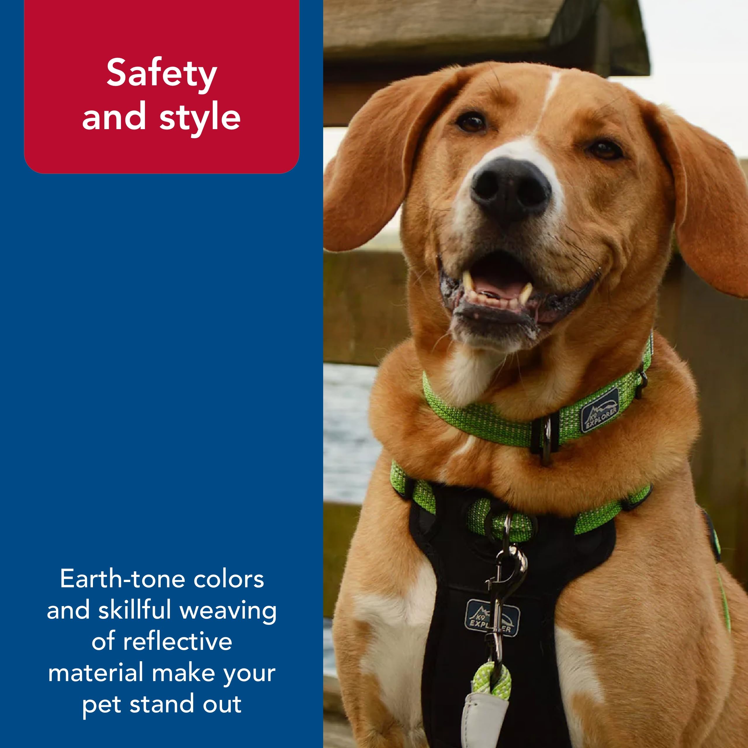 Coastal Pet - K-9 Explorer - Brights Reflective Adjustable Dog Collar, Ocean, 5/8'' x 08''-12''