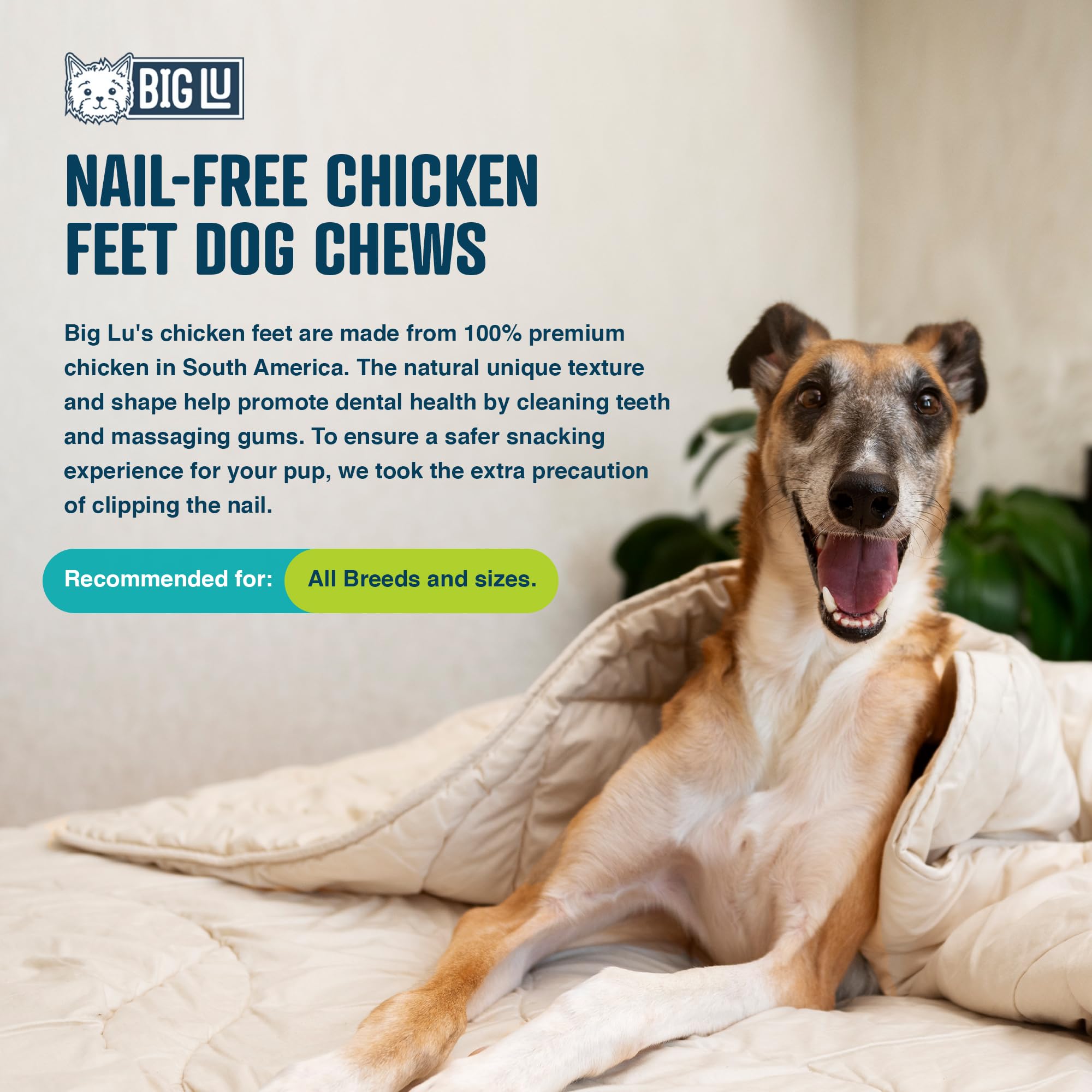 Big Lu - Nail-Free Chicken Feet Dog Chews, 100% Natural Single-Ingredient Treats, Rawhide-Free, Long-Lasting, Rich in Glucosamin