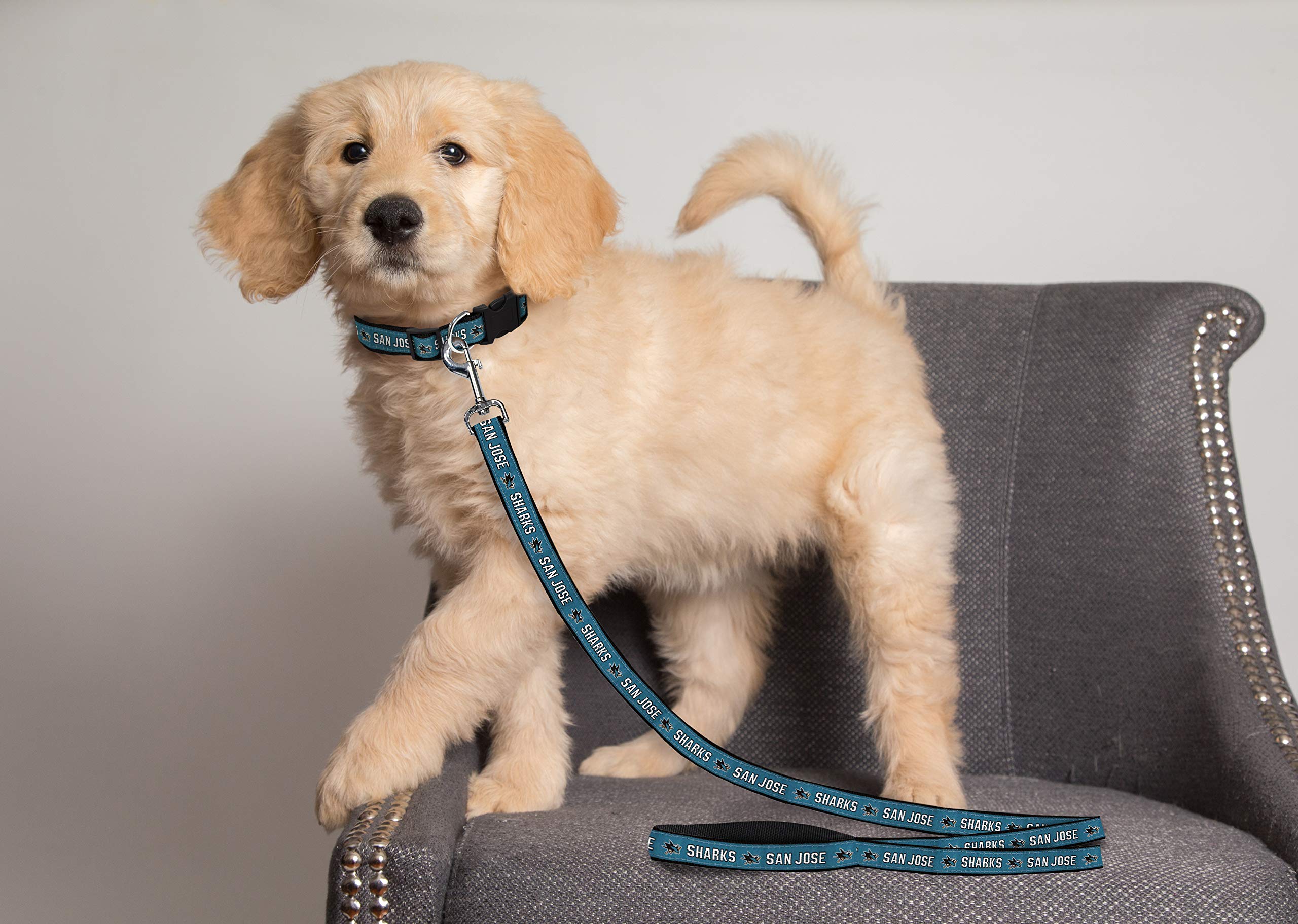 Pets First NHL SAN Jose Sharks Leash for Dogs & Cats, Large. - Walk Cute & Stylish! The Ultimate Hockey Fan Leash!, 6 ft Long x
