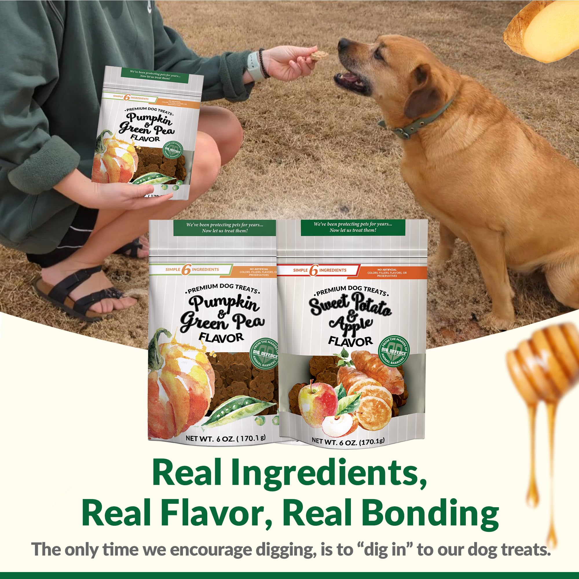 Dig Defence Premium Dog Treats - Pumpkin/Green Pea and Sweet Potato/Apples, Natural Ingredients, Baked Gourmet Snacks for Small