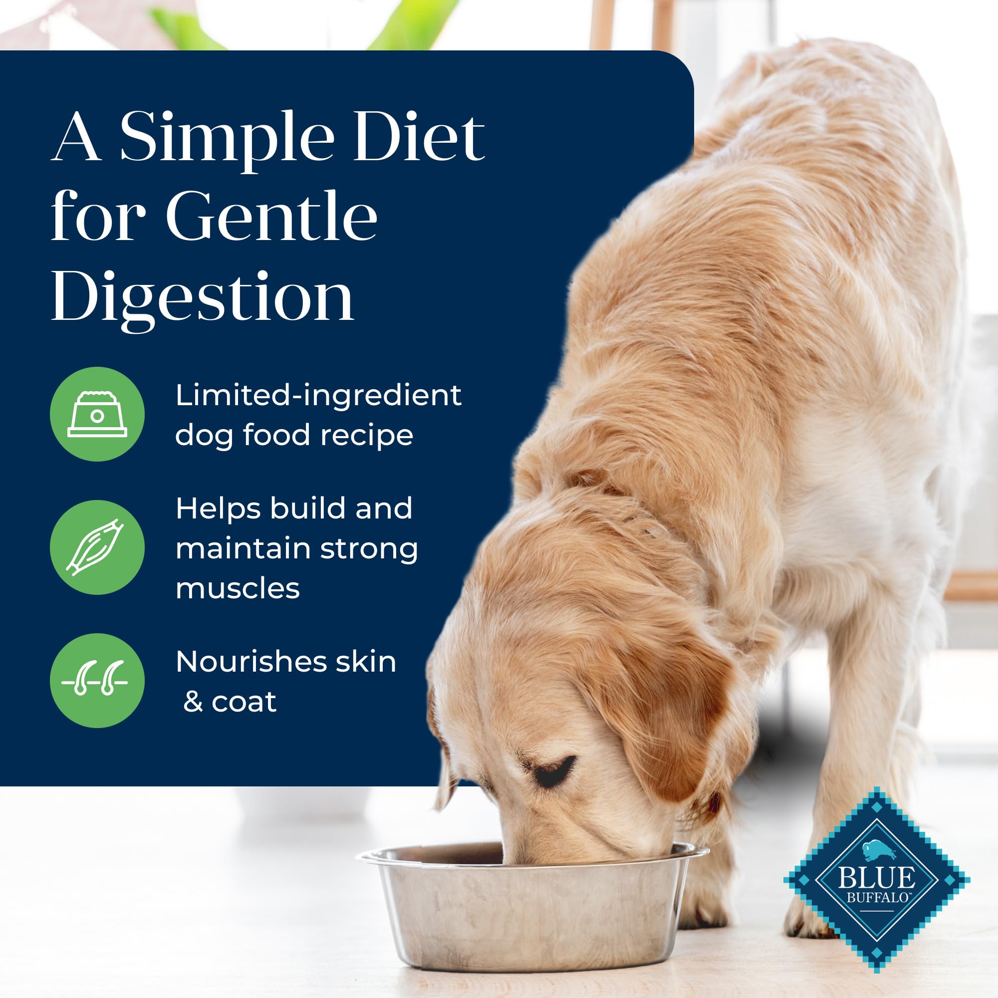 Blue Buffalo Basics Adult Grain-Free Dry Dog Food for Skin & Stomach Care, Limited Ingredient Diet, Made in the USA with Natural