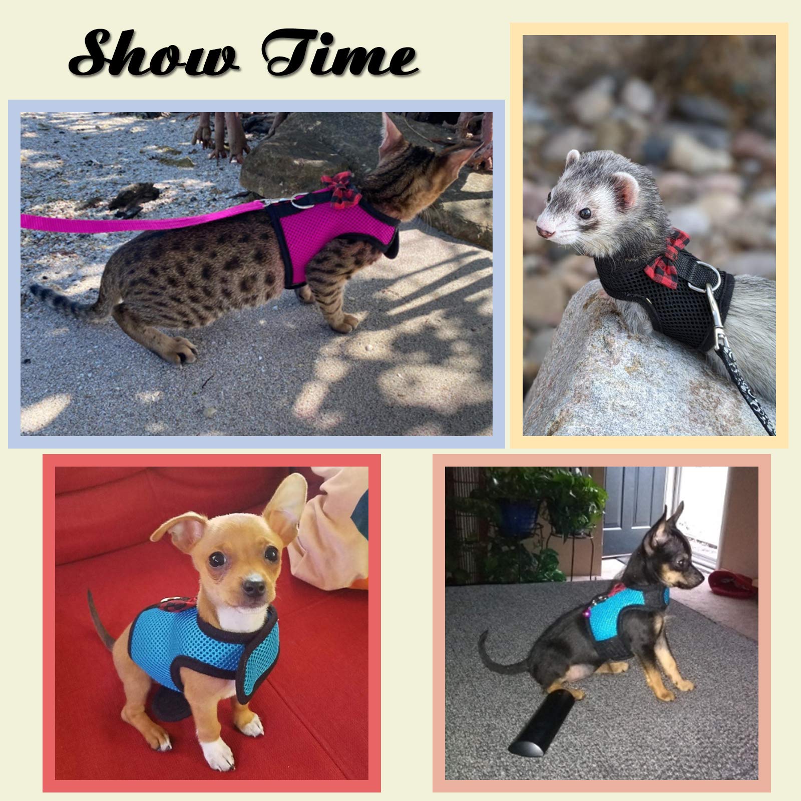Rypet Animal Harness And Leash - Soft Mesh Pet Harness With Safe Bell, No Pull Comfort Padded Vest For Small Pet Pink M
