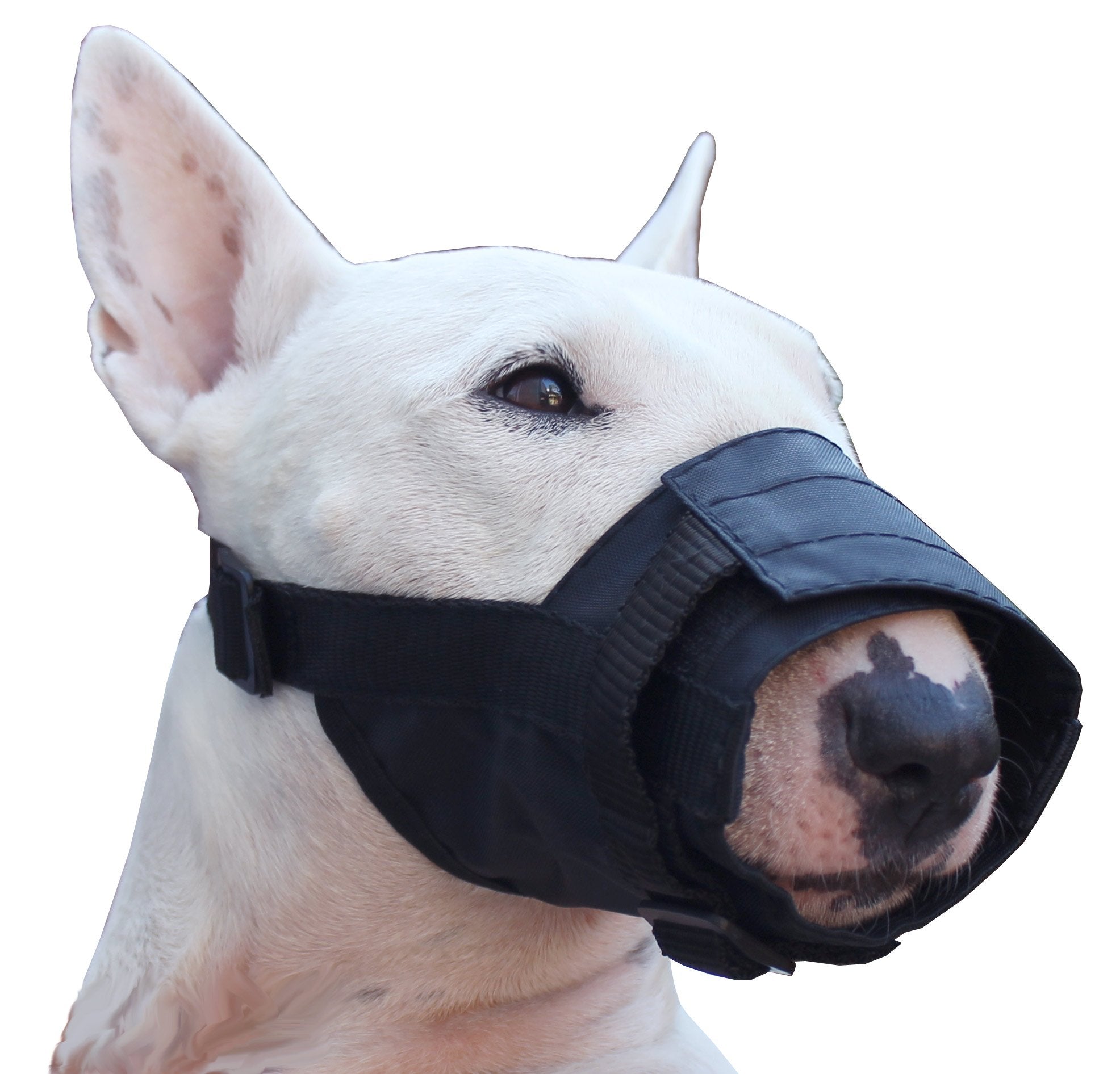 Nylon Dog Muzzle Adjustable Black (Small: 5.5'-7.5' Snout)