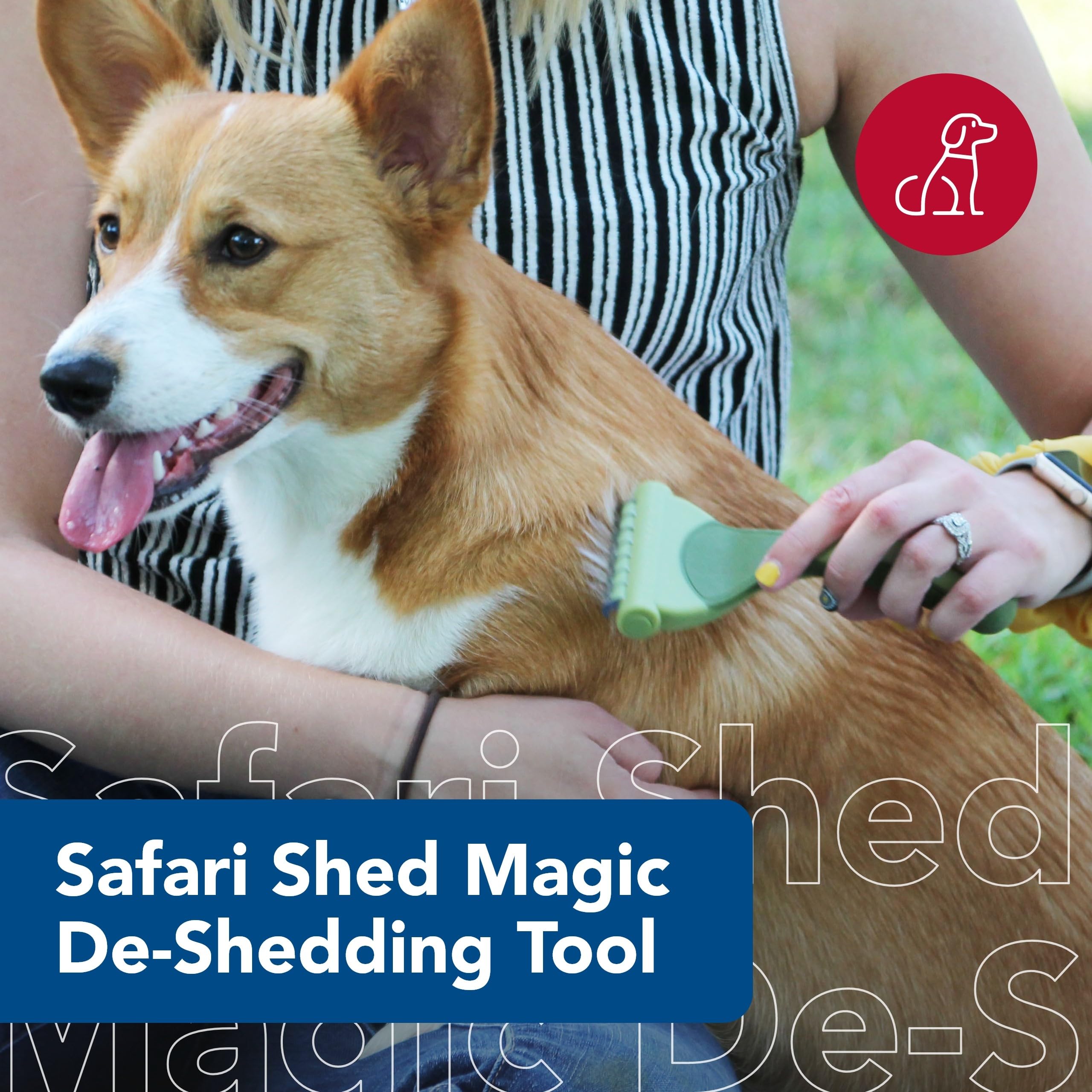 Coastal Pet - Safari - Shed Magic De-Shedding Tool for Dogs with Short to Medium Hair, No Color, Medium (6.25'' L x 3.5'' W)