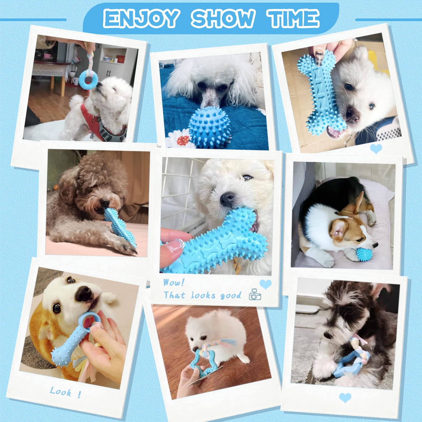Petcare 6 Pack Puppy Chew Toys For Teething Cute Blue Puppy Toys Small Dog Toys Soft Rubber Rope Dog Toys Funny Bone Ball Cleaning Teeth Dog Chew Toys Puppy Teething Toys For Puppies Yorkie