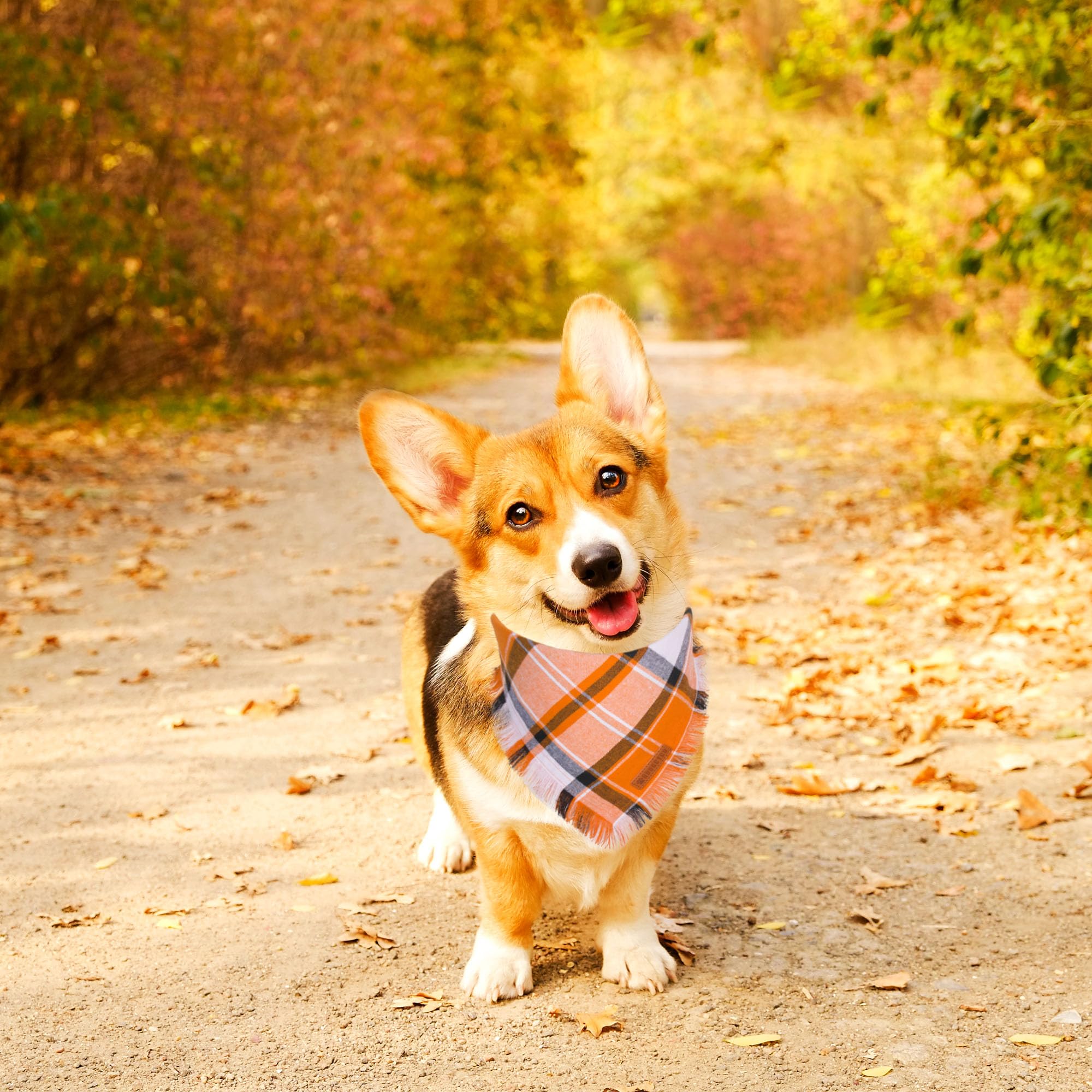 Adoggygo Fall Dog Bandanas, Halloween Thanksgiving Dog Bandana, Orange Plaid Dog Scarf, Multiple Sizes Offered, Fall Holiday Bandanas For Medium Large Dogs Pets (Fall, Large)