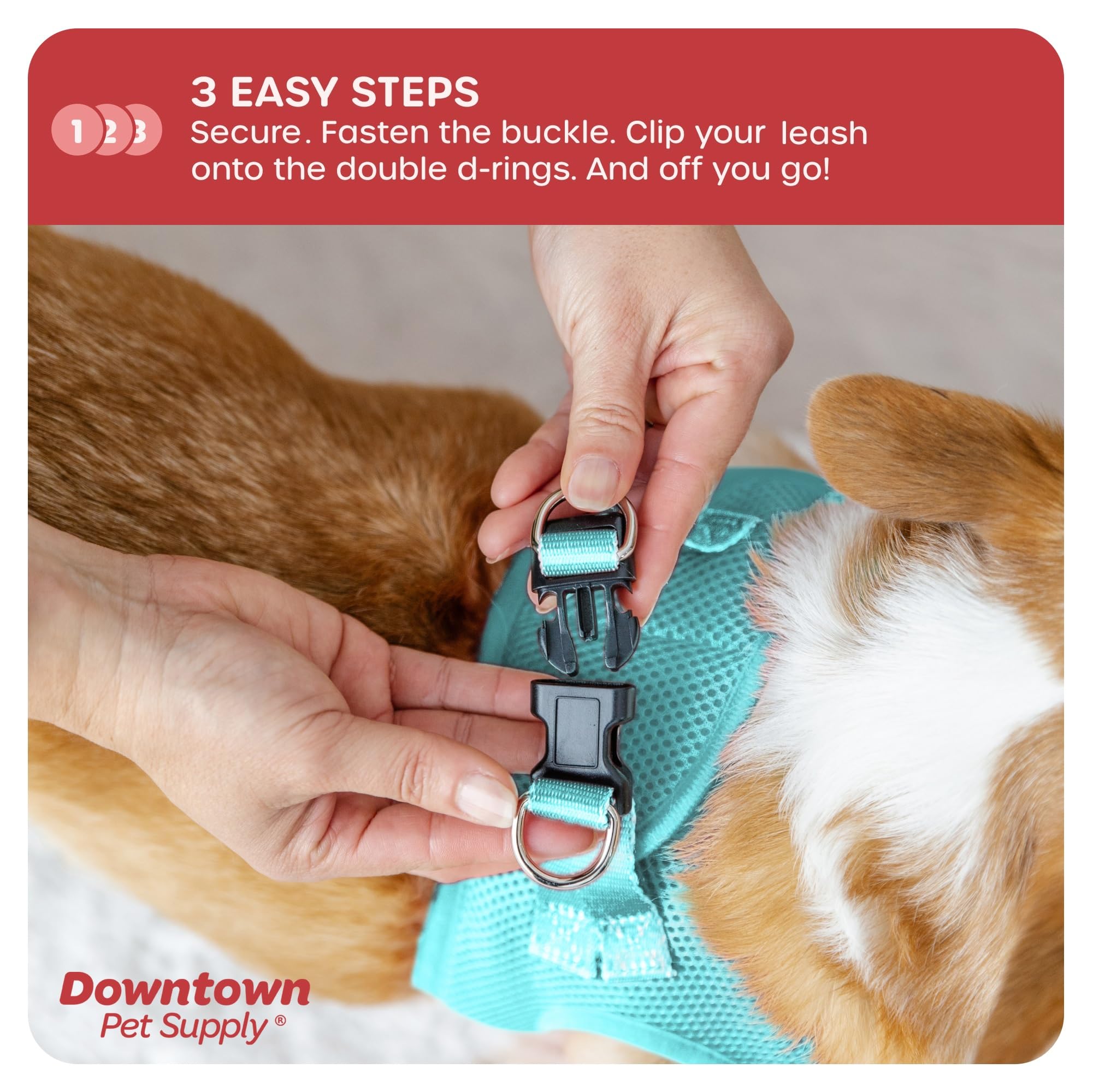 Downtown Pet Supply Step In Dog Harness For Teacup Dogs & Cats No Pull, Xx-Small, Light Blue - Adjustable Harness With Padded Me