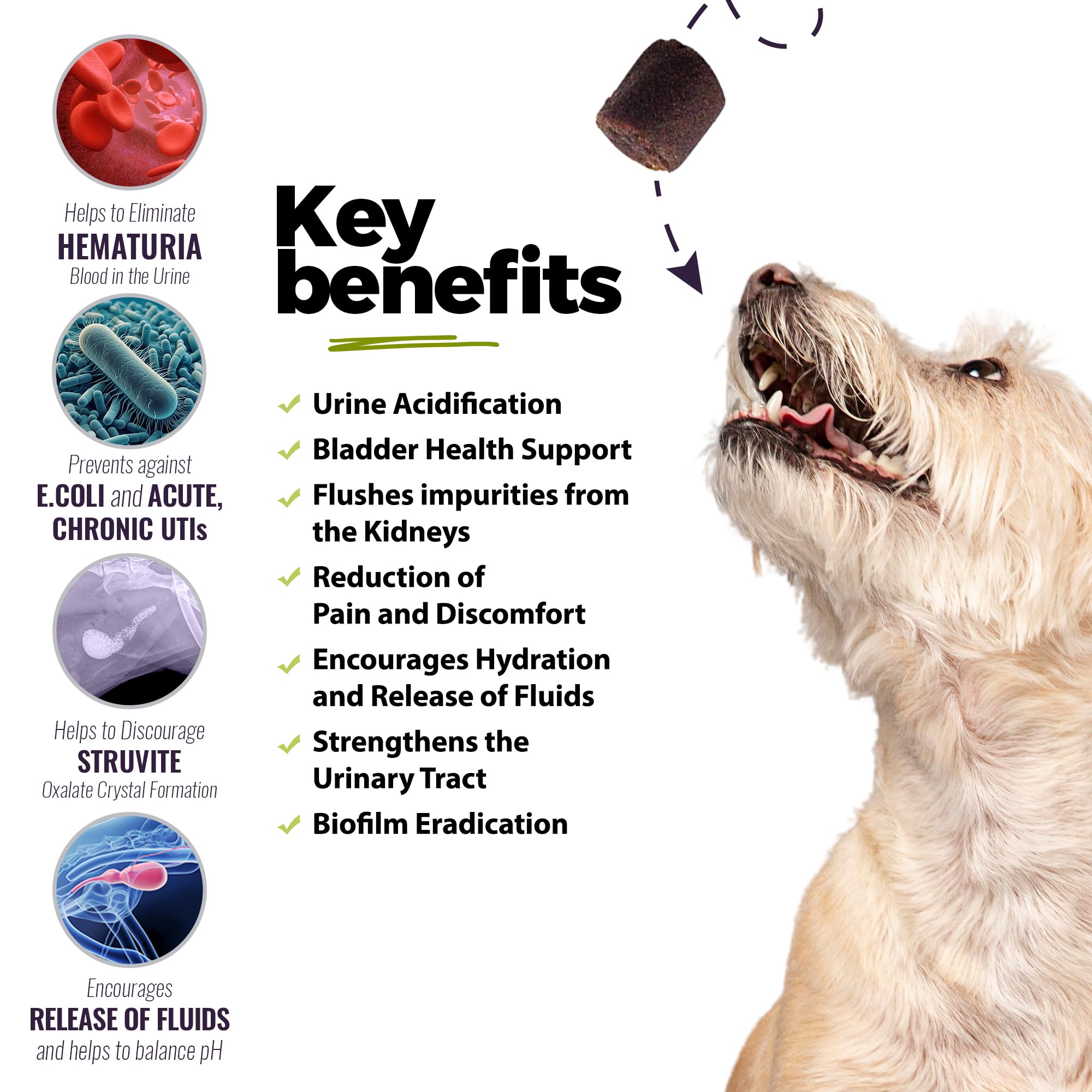 UroMAXX Dog Urinary Tract Infection Treatment, Bladder & Kidney Support for Dogs, Powerful Pet Care, Natural Soft Chews with Cra