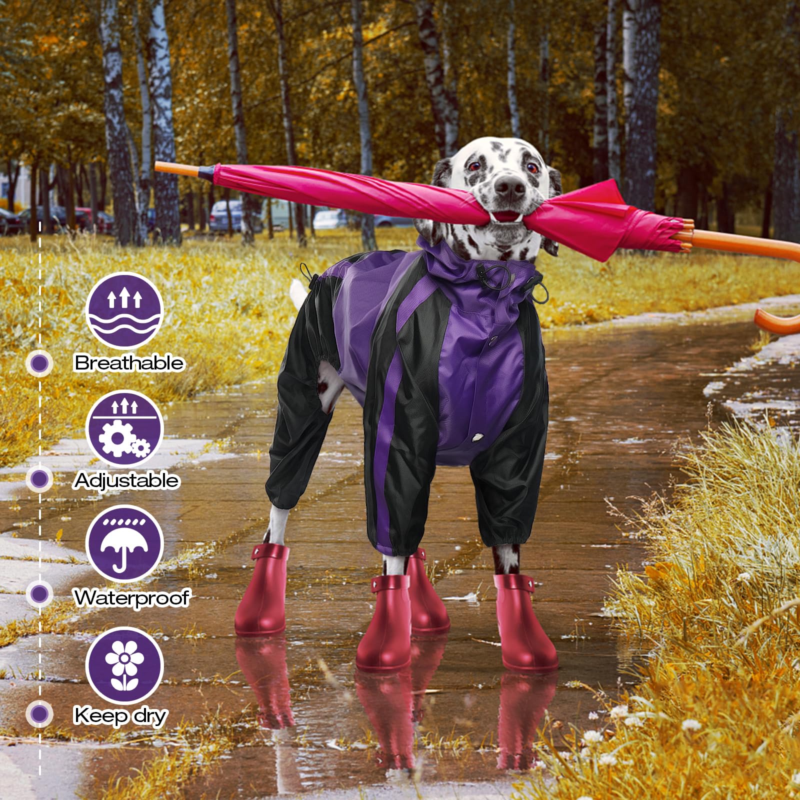 OUOBOB Dog Raincoat - Waterproof Medium Pet Poncho, Purple, Adjustable 4 Legs, Lightweight Polyester with Hood and Leash Hole