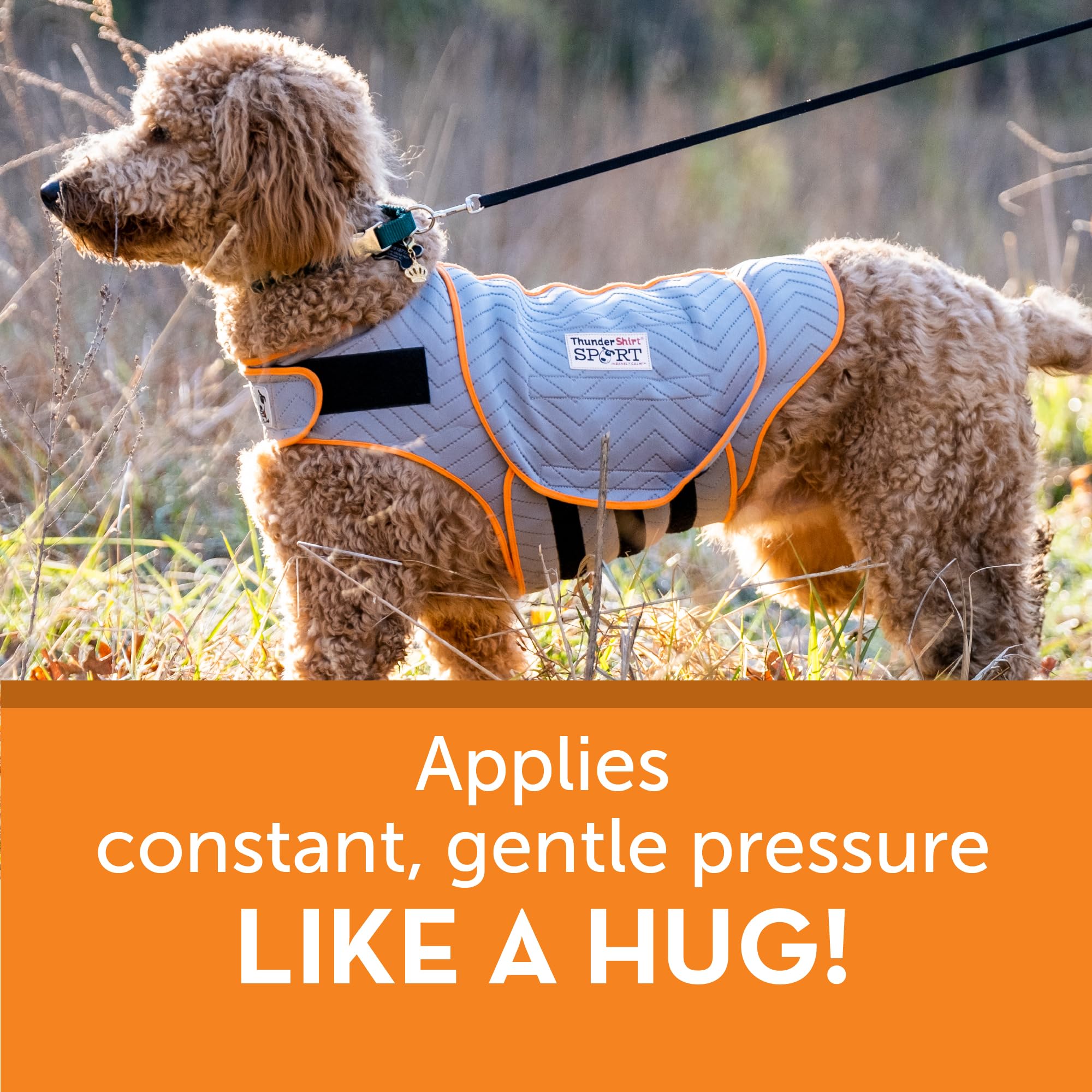 ThunderShirt for Dogs, XX Small, Platinum Sport - Dog Anxiety Relief Calming Vest