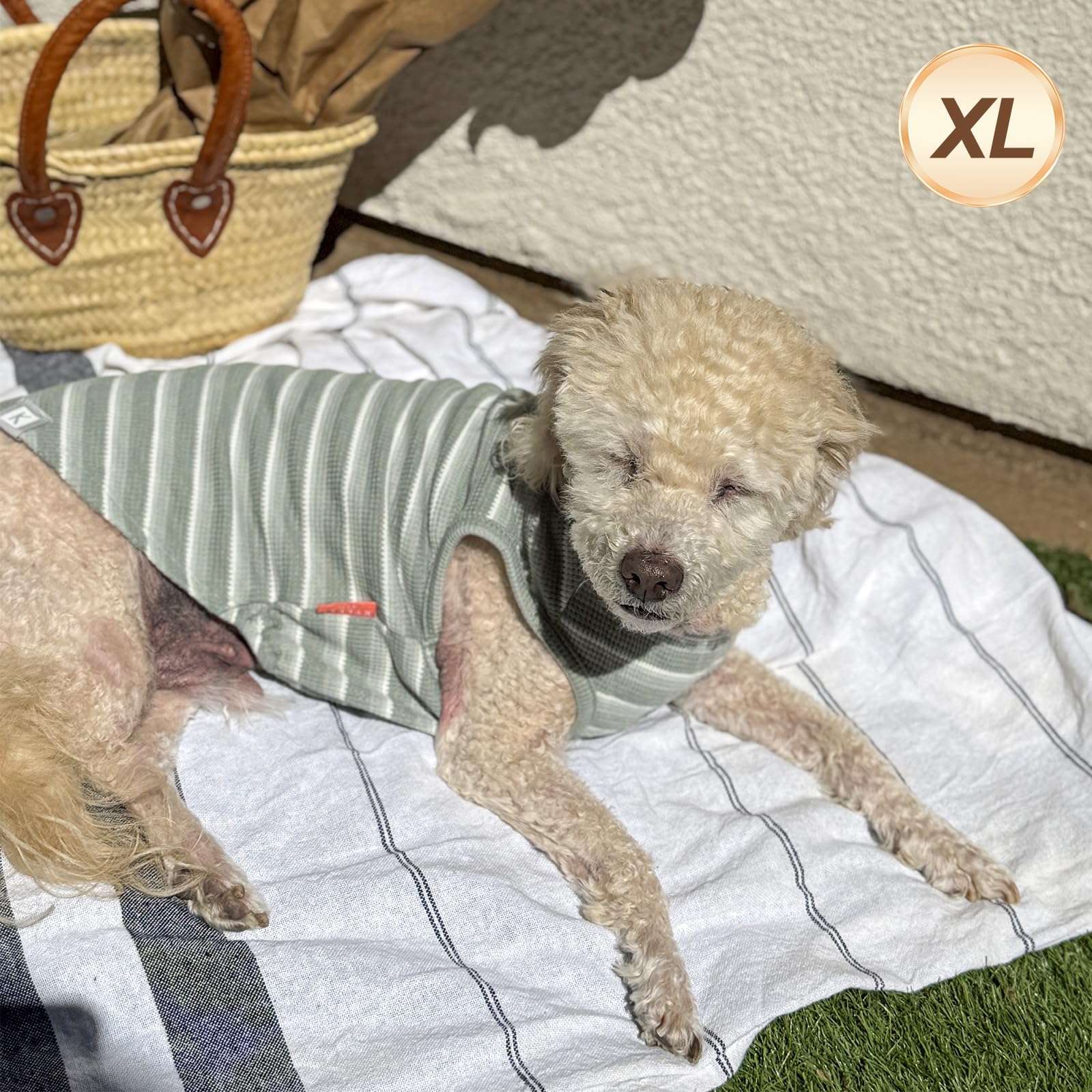 KYEESE Waffle Dog Shirts 2Pack for Small Dogs, X-Large, Lightweight Polycotton, Green+Striped, Sleeveless Tank Tops