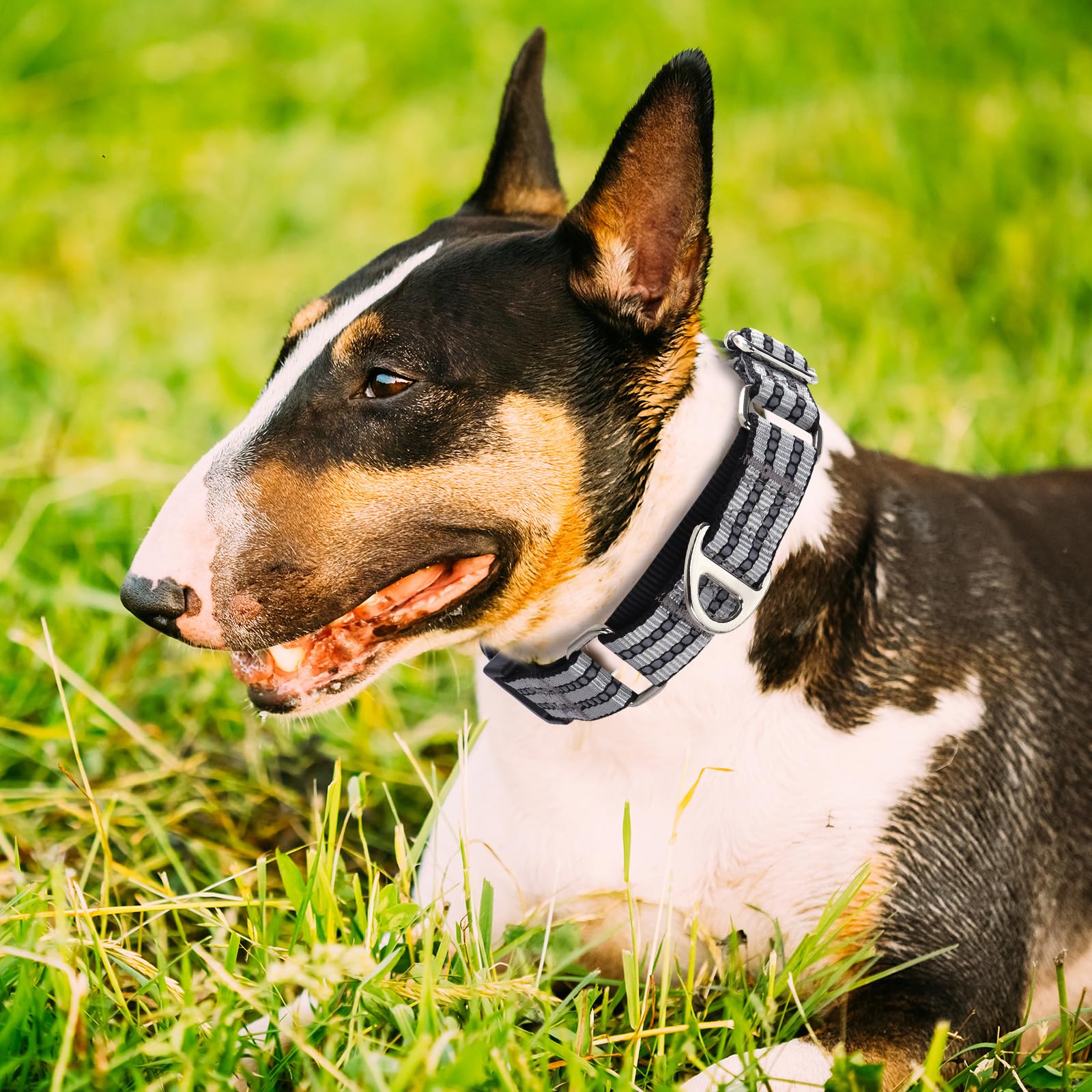 Reflective Martingale Collar For Medium Dogs With Quick Release Buckle Adjustable Training, Walking, Hunting No Slip Collars,(Sl
