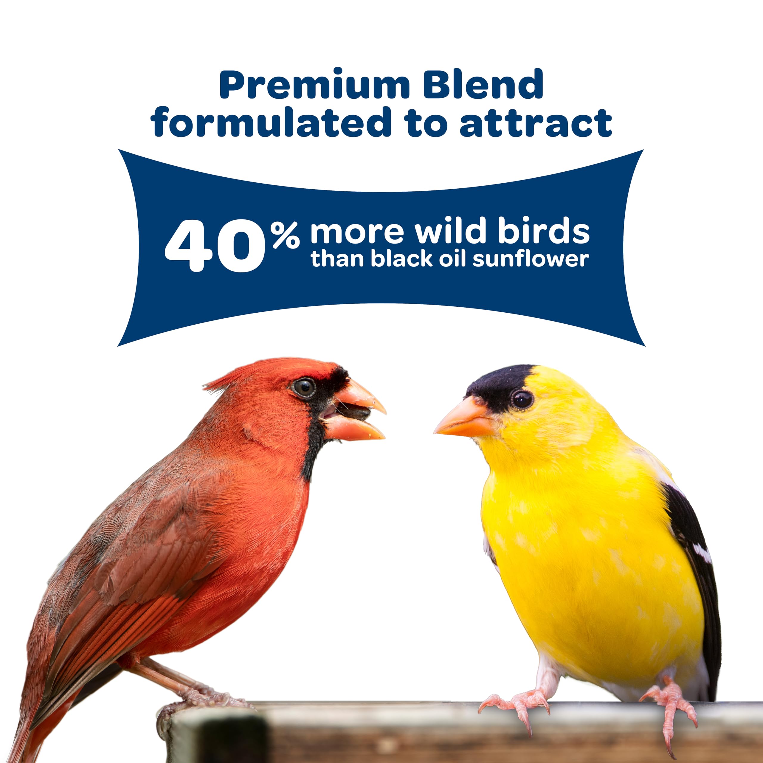 BIRDERS BLEND 16LB KT (Pack of 1)
