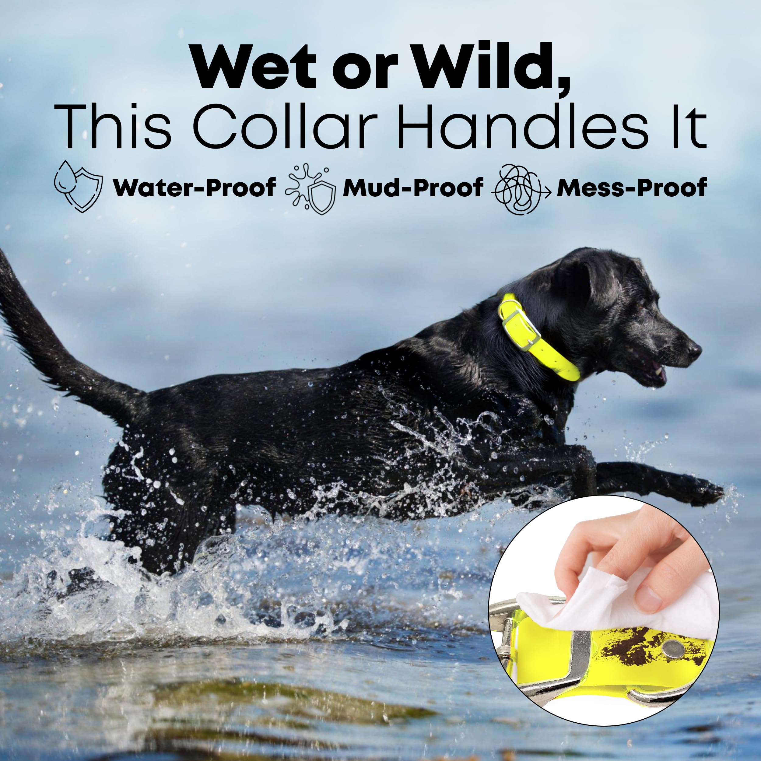Regal Dog Products Small Yellow Waterproof Dog Collar and Leash Set | Heavy Duty Double Buckle & D Ring - 5'ft Leash | Adjustabl