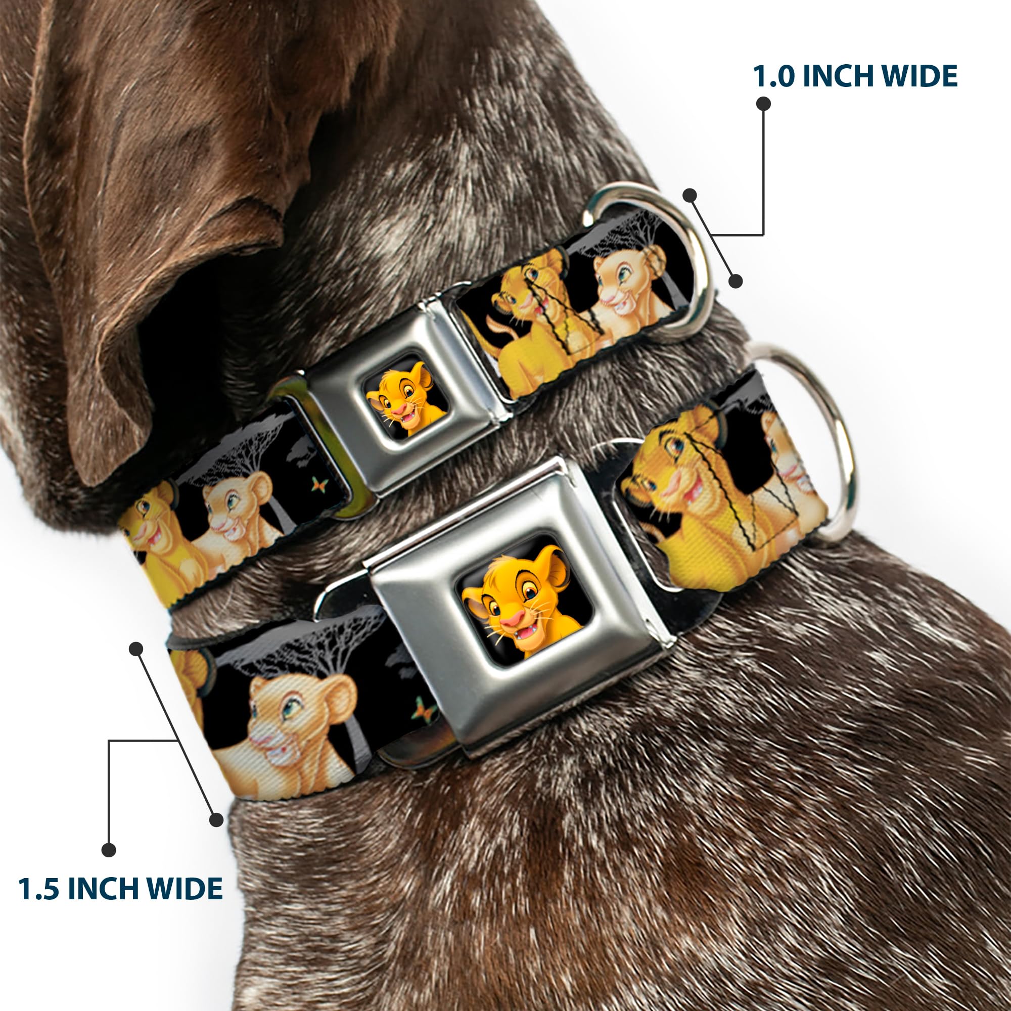 Buckle-Down Dog Collar Seatbelt Buckle Lion King Simba Nala Hakuna Matata 11 To 17 Inches 1.0 Inch Wide, Multi Color (Dc-Wdy046-M)