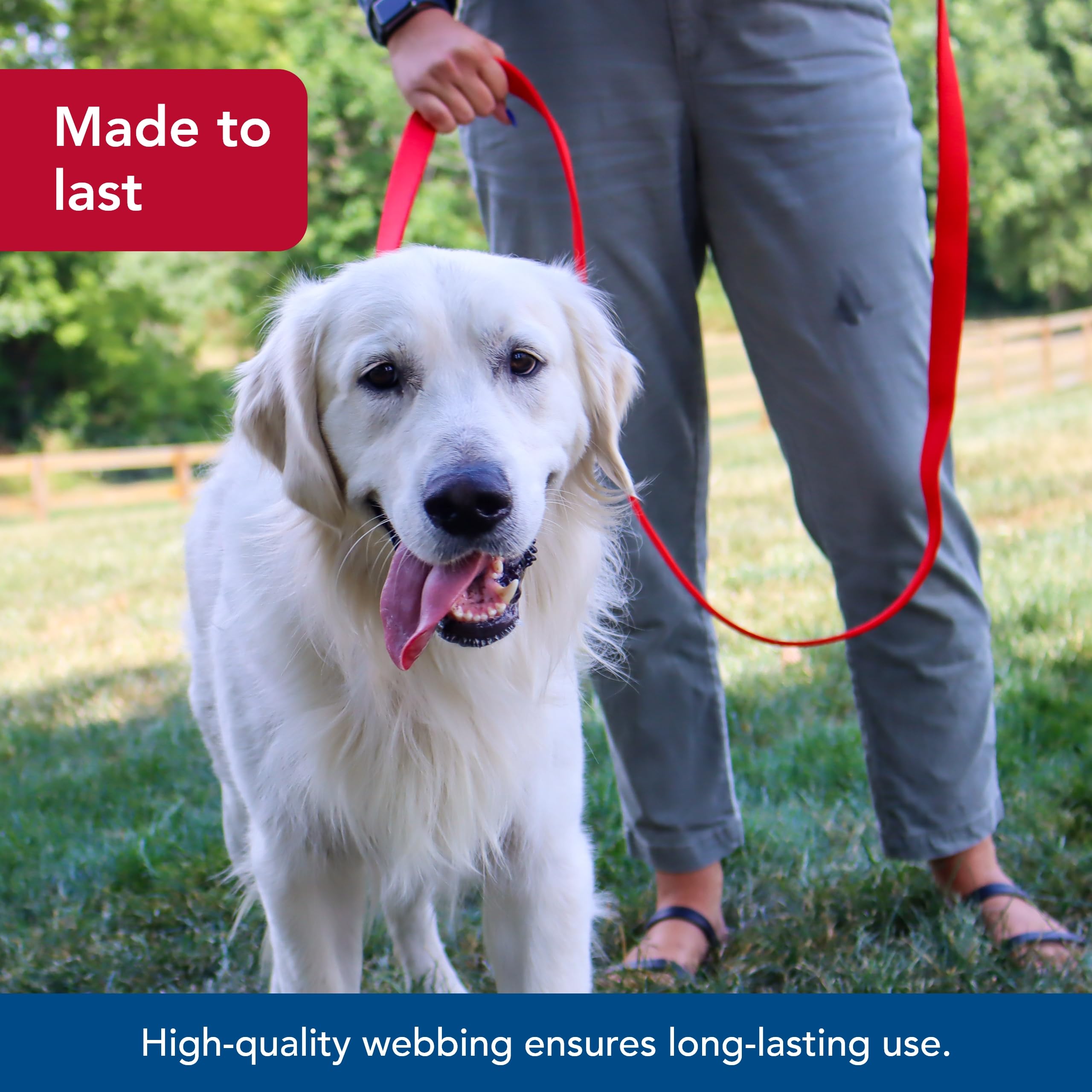 Coastal Pet Double-Ply Dog Leash - Bolt Snap Attachment To Collars And Harnesses - Nylon Dog Walking Leash For Small, Medium And Large Dogs - Red - 1' X 4'