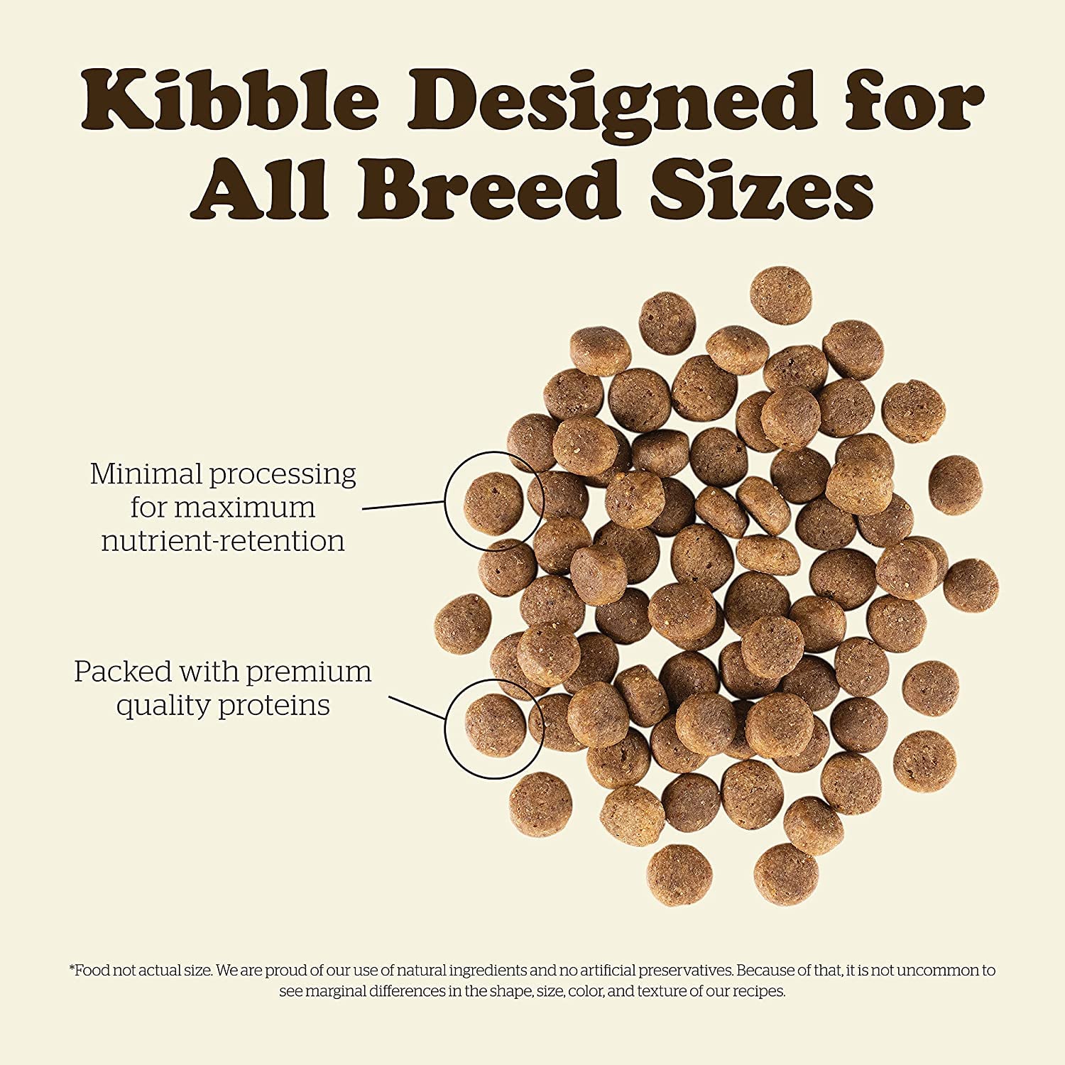 Now Fresh Grain-Free, Dry Dog Food, Real Meat and Fish, Turkey, Salmon and Duck Puppy Recipe, All Breed Size, 22 lb Bag