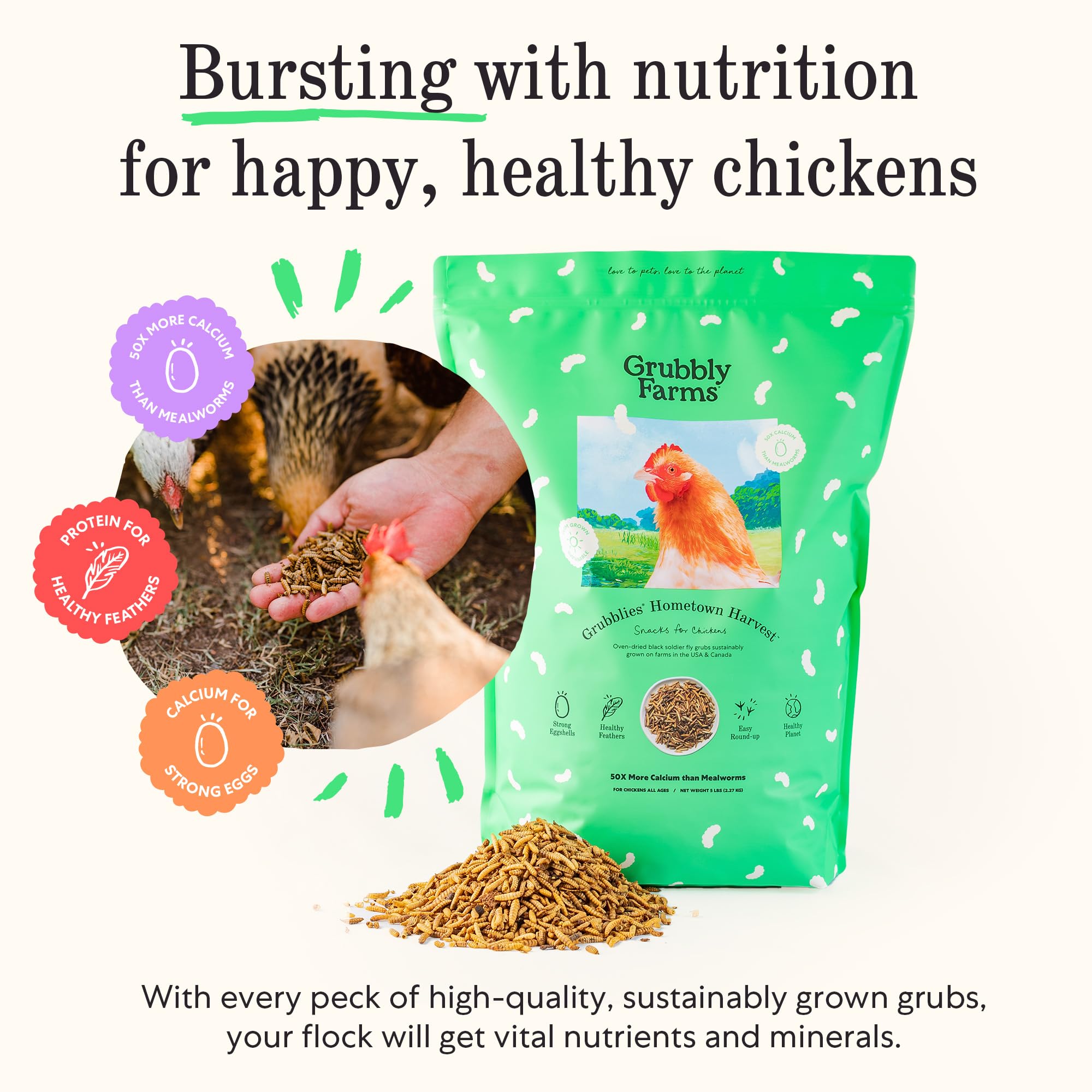 Grubblies - Black Soldier Fly Larvae for Chickens - Chicken Treats Grown in The US and Canada - for Strong Eggshells and Healthy
