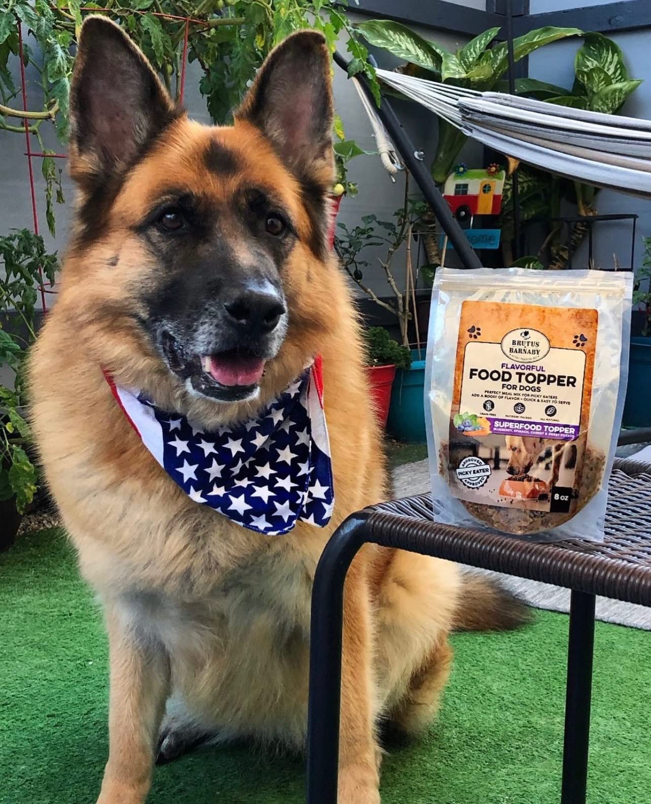 Dog Food Topper - Super Foods - Enhance Your Dogs Meal with This Healthy Vegan Flavor Packed Mix - Sprinkle On Dog Food Flavorin